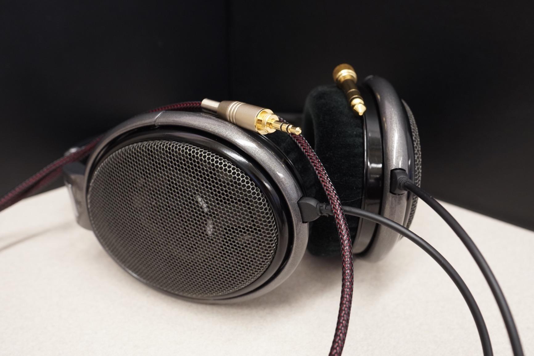 Sennheiser Consumer Audio HD 650 - Audiophile Hi-Res Open Back Dynamic Headphone, Titan customer photo 2