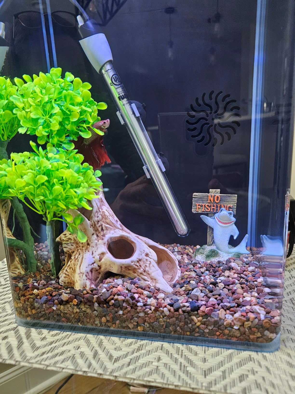 Fluval M 50-Watt Submersible Aquarium Heater for Fresh & Saltwater Tanks | Compact, Reliable Heating with Mirror Technology customer photo 2