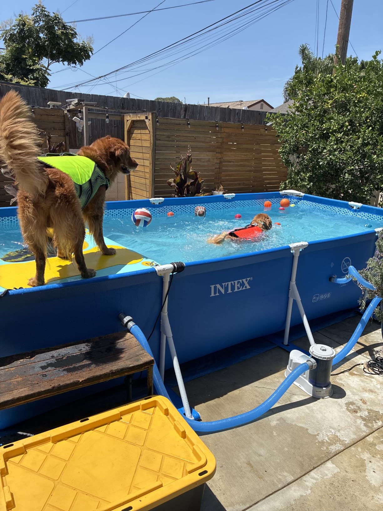 INTEX Rectangular Frame 8 ft 6 in x 5 ft 3 in x 25 in Above Ground Pool, Swimming Pool with Steel Frame, Pump Not Included | 28271EH - Pool Only customer photo 1