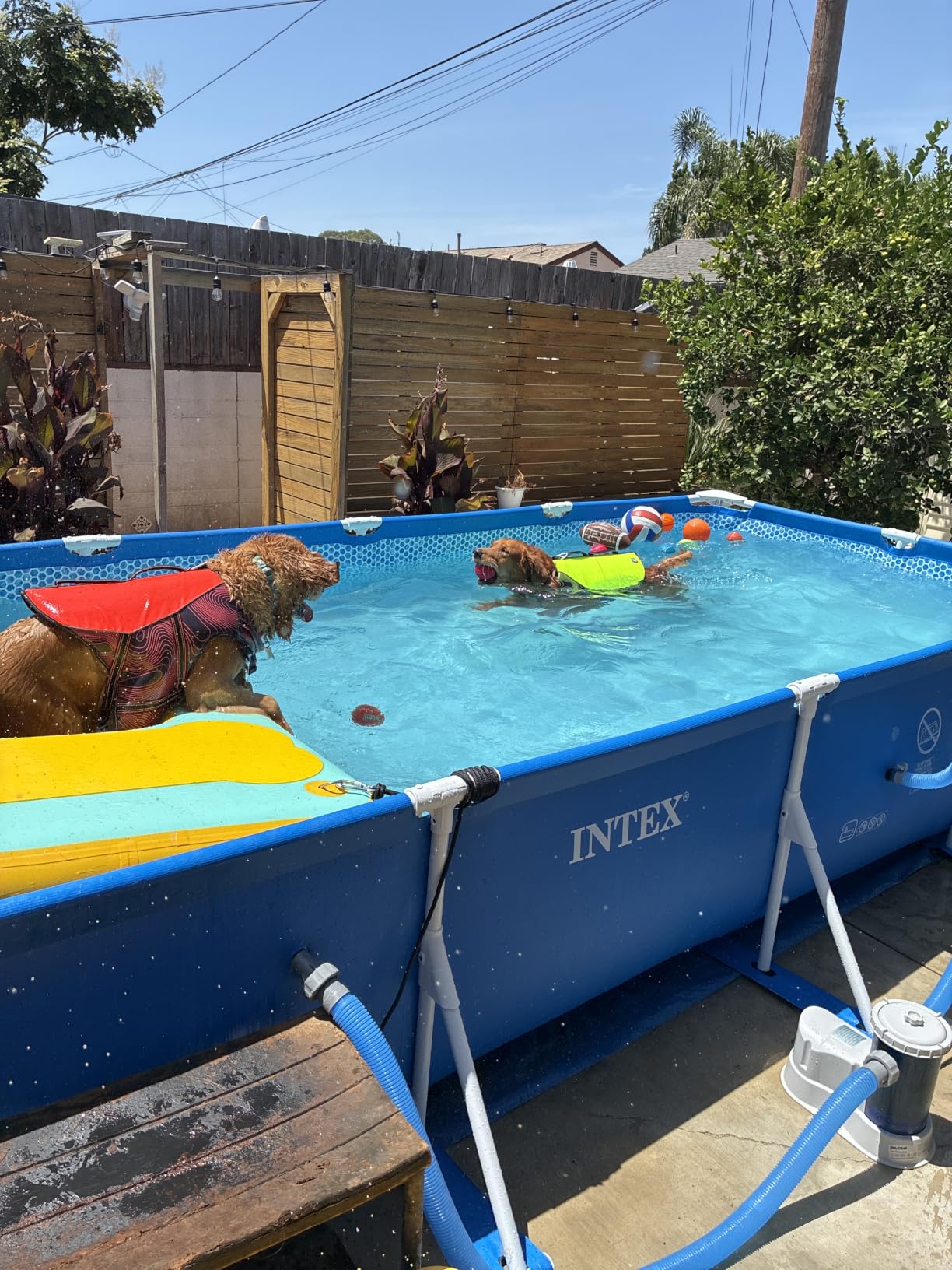 INTEX Rectangular Frame 8 ft 6 in x 5 ft 3 in x 25 in Above Ground Pool, Swimming Pool with Steel Frame, Pump Not Included | 28271EH - Pool Only customer photo 2