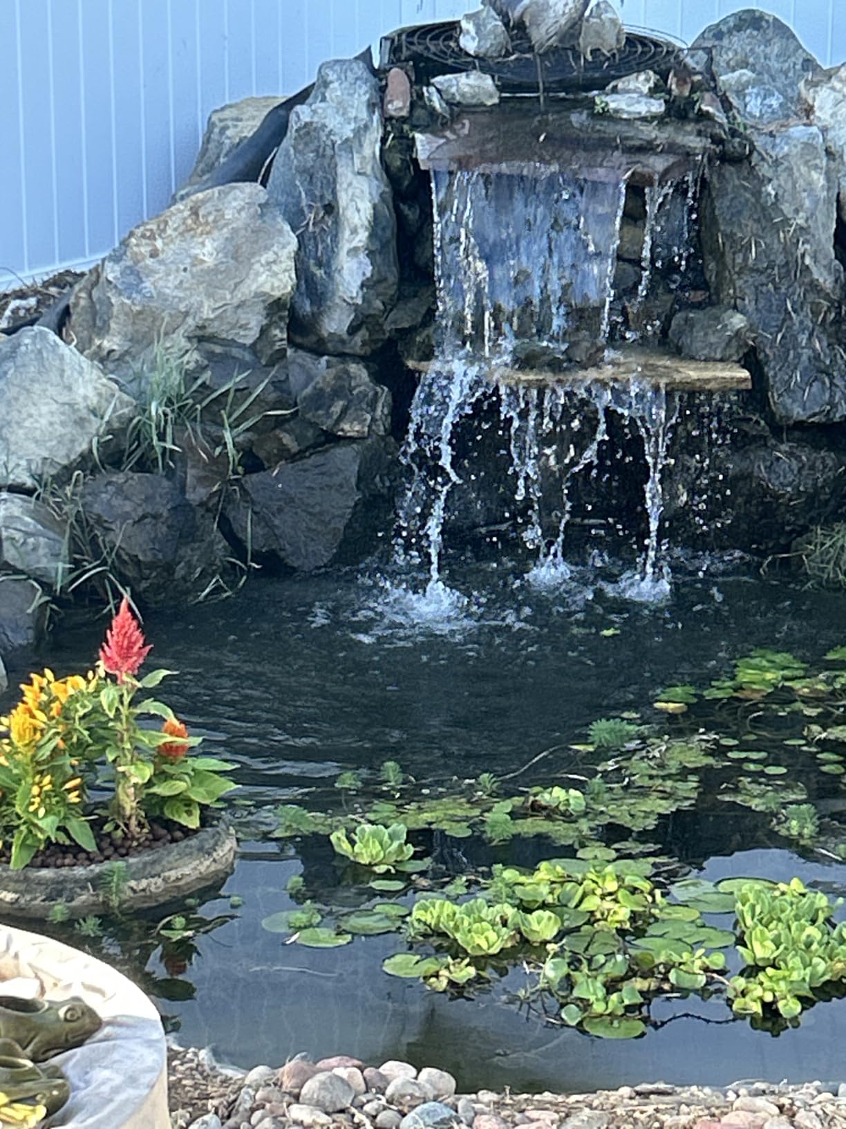 Alpine Corporation 2100 GPH Submersible Water Pump with 33 FT Cord and Adapters for Ponds, Fountains, Waterfalls, and Water Circulation, 192 Watts 20 FT Lift Quiet Operation Vertical/Horizontal customer photo 1