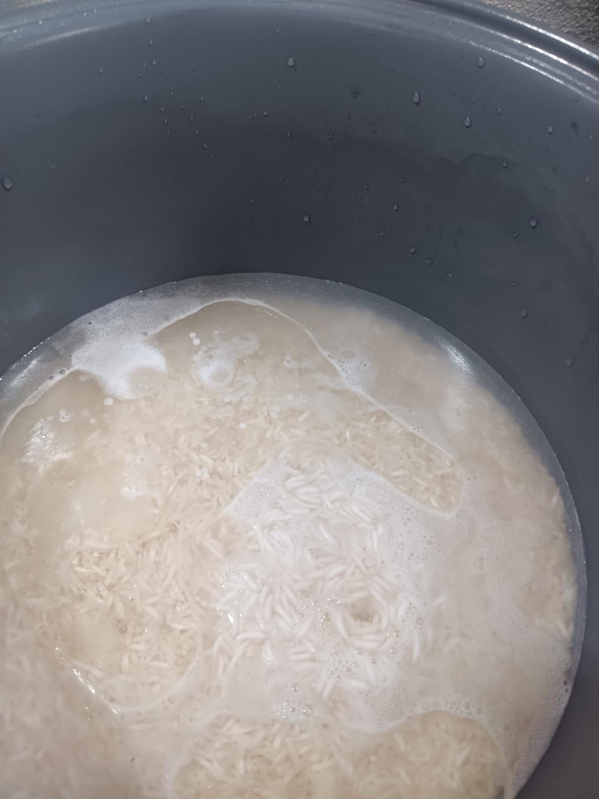 Aroma Housewares 20 Cup Cooked (10 cup uncooked) Digital Rice Cooker, Slow Cooker, Food Steamer, SS Exterior (ARC-150SB) customer photo 1