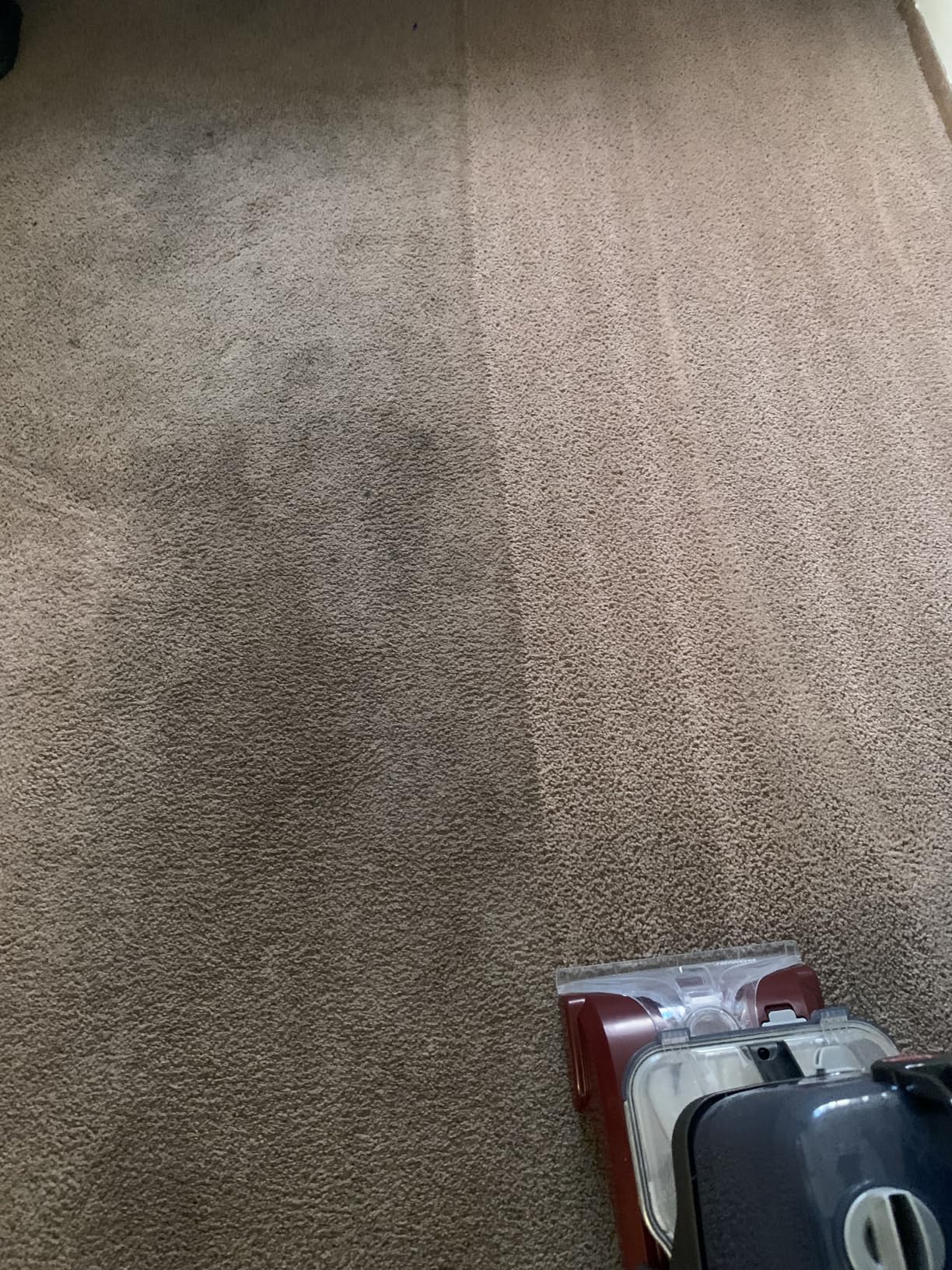 Hoover PowerScrub Deluxe Carpet Cleaner Machine, Deep Cleaning Carpet Shampooer Machine, SpinScrub Brushes, HeatForce Drying, Pet & Upholstery Tools customer photo 1