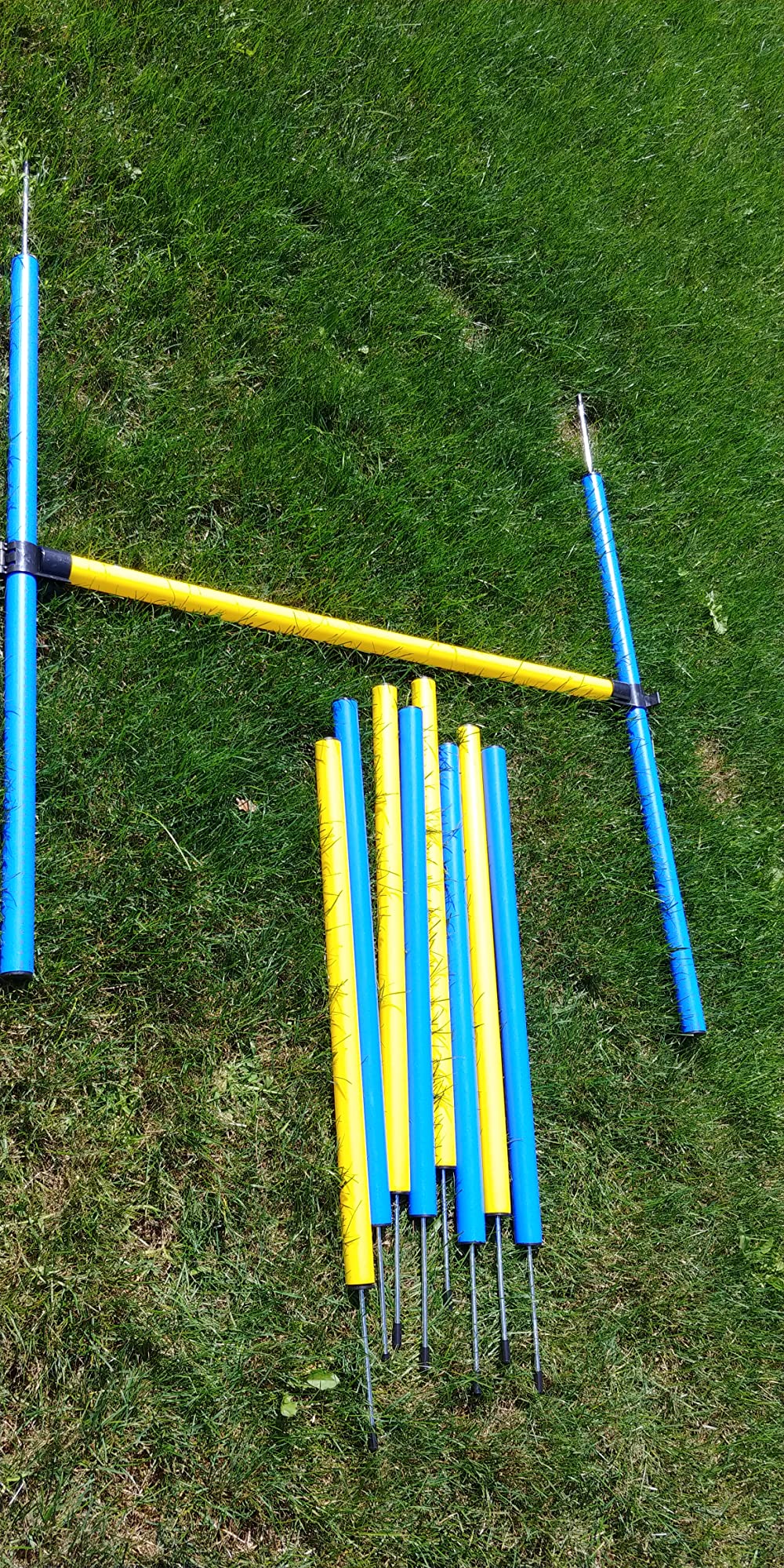 PawHut 4PC Obstacle Dog Agility Training Course Kit Backyard Competitive Equipment- Blue/Yellow | Tunnel, Pause Box, Weave Poles, Carrying Bag, Backyard Set customer photo 2