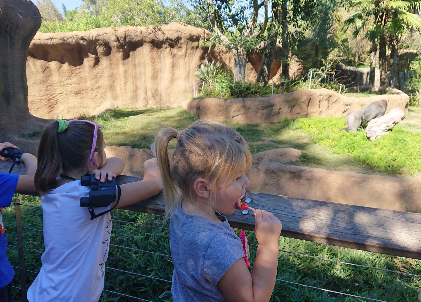 Aurosports 10x25 Compact Binoculars for Bird Watching, Cruise Ship, Travel | Small & Lightweight for Adults Kids; BAK4 & FMC for Crystal Clarity customer photo 2