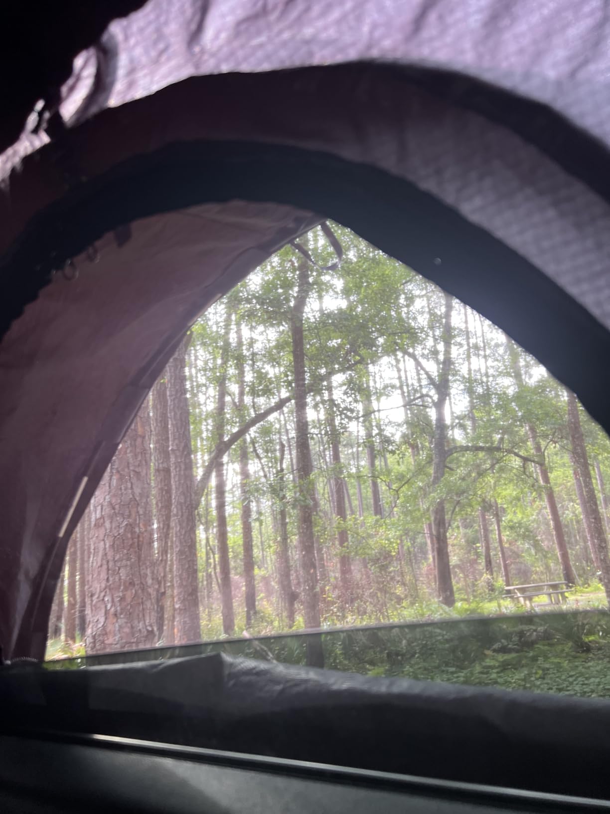 ROADIE- The OVERNIGHTER SUV Window Tent with Bug Screen and Retractable Awning customer photo 1