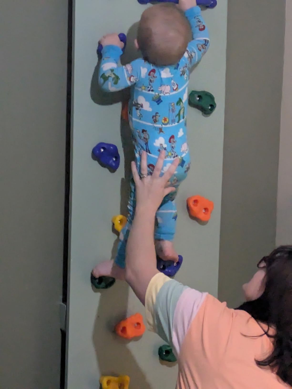 KINSPORY 20pc Rock Wall Climbing Holds for Kid, Play Set Climber Attachment - Colourful anti-slip pig nose rocks, two blue handles, complete mounting hardware for indoor outdoor playground building customer photo 2