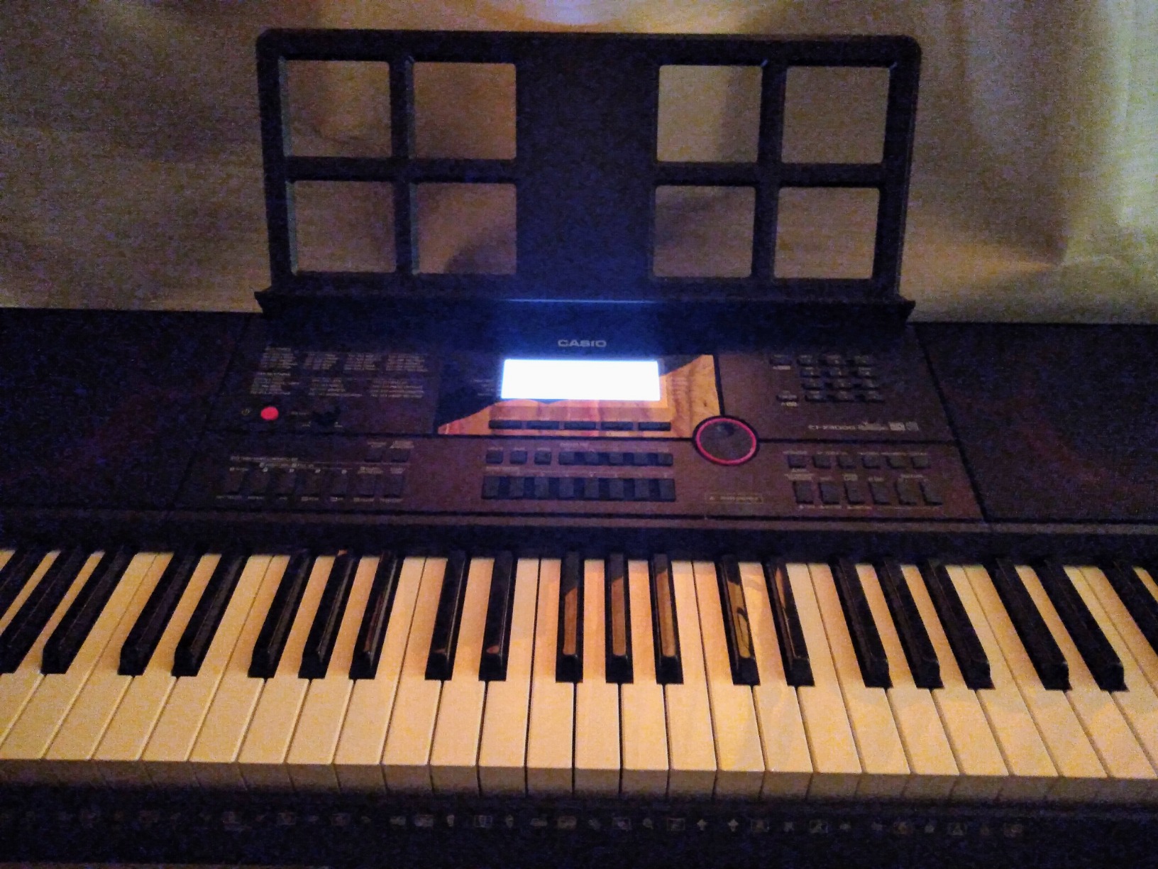 Casio CT-X3000 61-Key Portable Arranger Keyboard customer photo 1