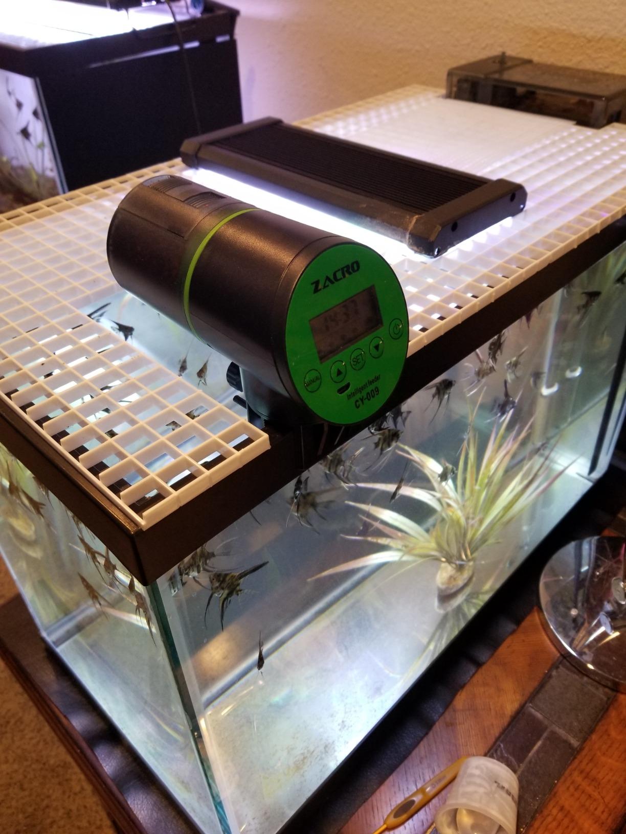 Automatic Fish Feeder for Aquariums - Rechargeable Auto Fish Food Dispenser Timer Feeder with USB Charger Cable, LCD Screen, Customized Schedule customer photo 2