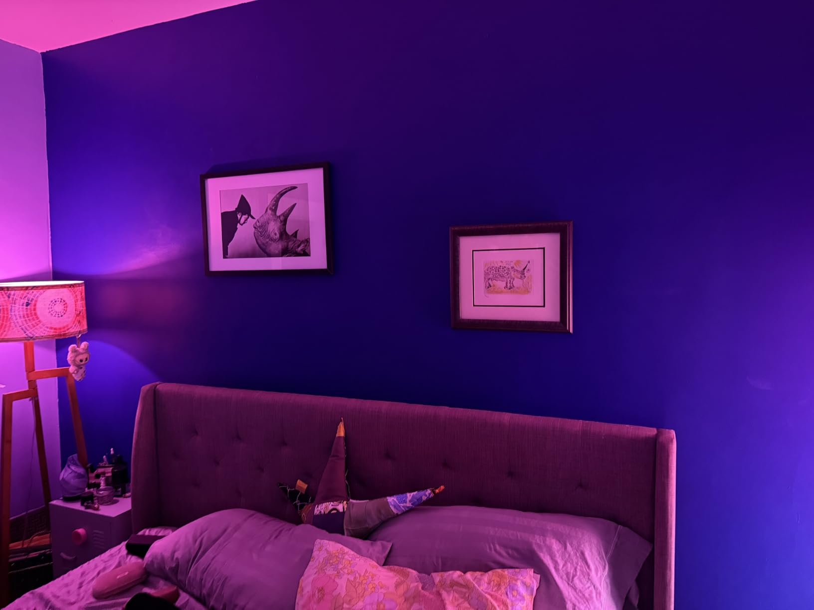 Smart 60W A19 LED Bulb - White and Color Ambiance Color-Changing Light - 1 Pack - 800LM - E26 - Indoor - Control with Hue App - Works with Alexa, Google Assistant and Apple Homekit customer photo 1