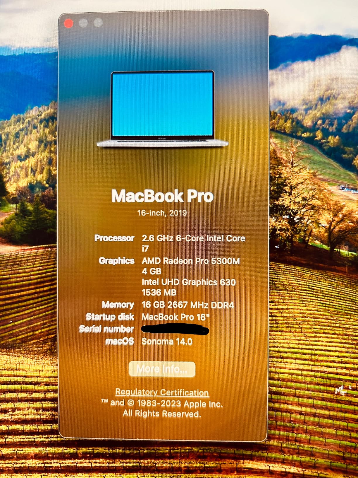 Apple MacBook Pro Late 2019 with 2.6GHz Intel Core i7 (16 inch, 16GB RAM, 512GB) Space Gray (Renewed) customer photo 2
