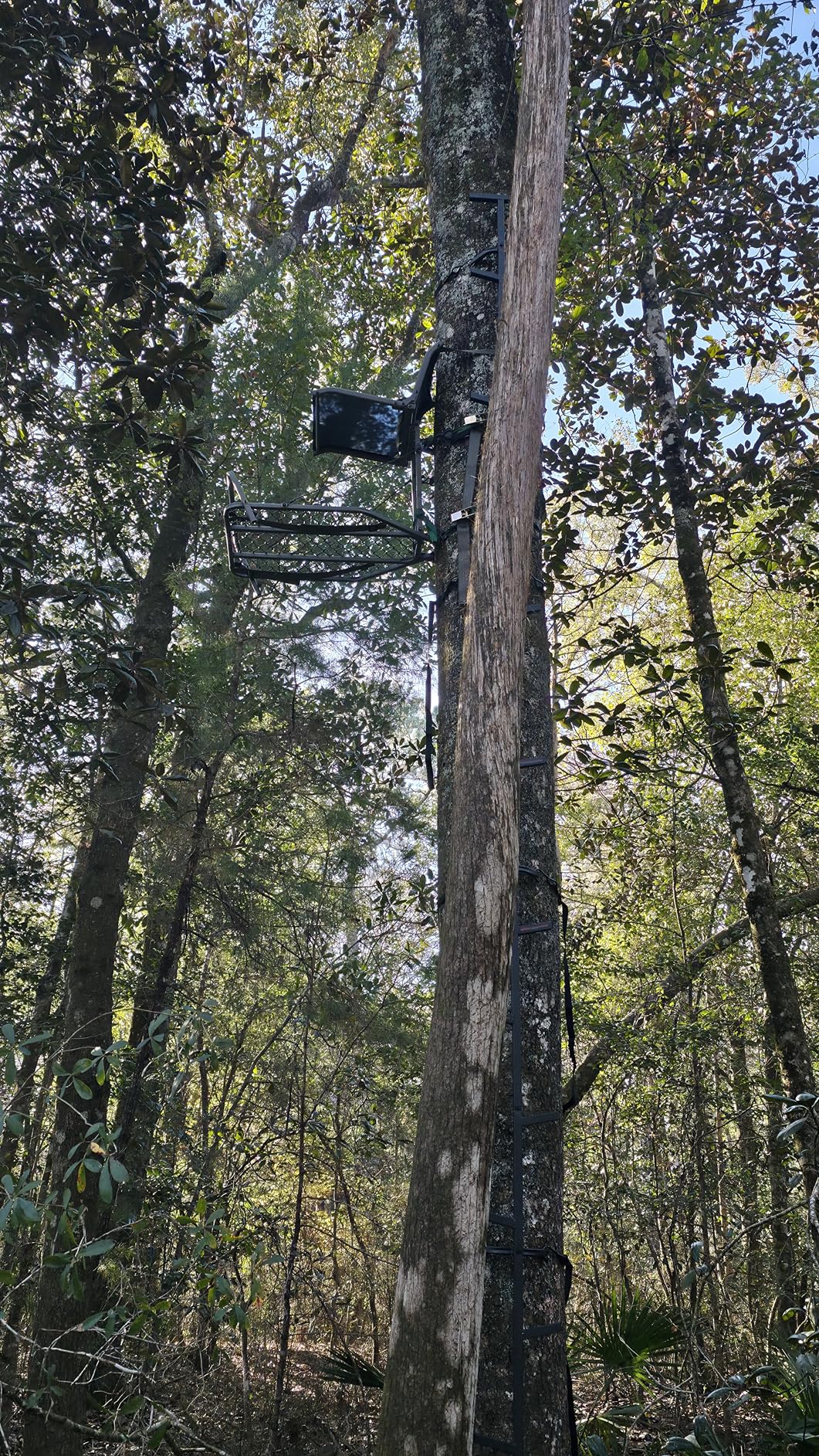 Summit Treestands Ledge XT Hang-on Tree Stand | Lightweight | Folding Comfort-Mesh Seat customer photo 1