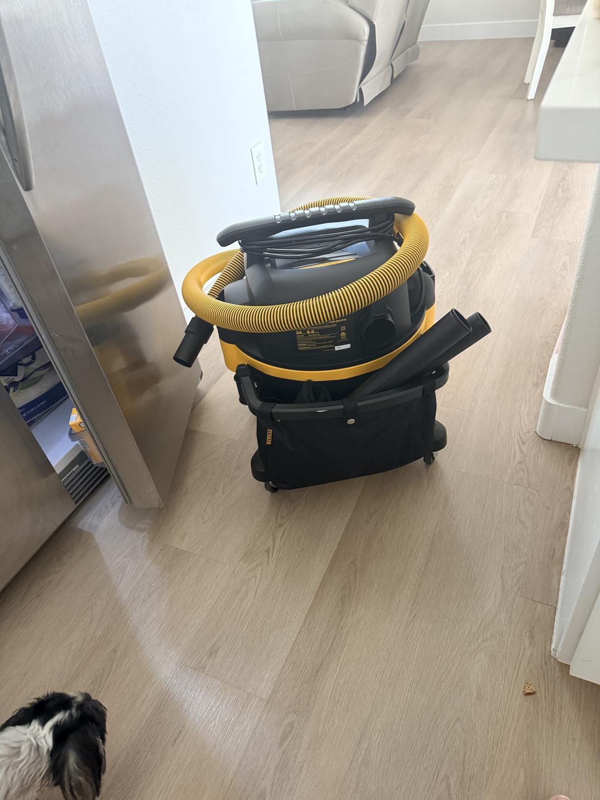DEWALT 9 Gallon Wet/Dry VAC, Heavy-Duty Shop Vacuum with Attachments, 5 Peak HP, DXV09PA customer photo 2
