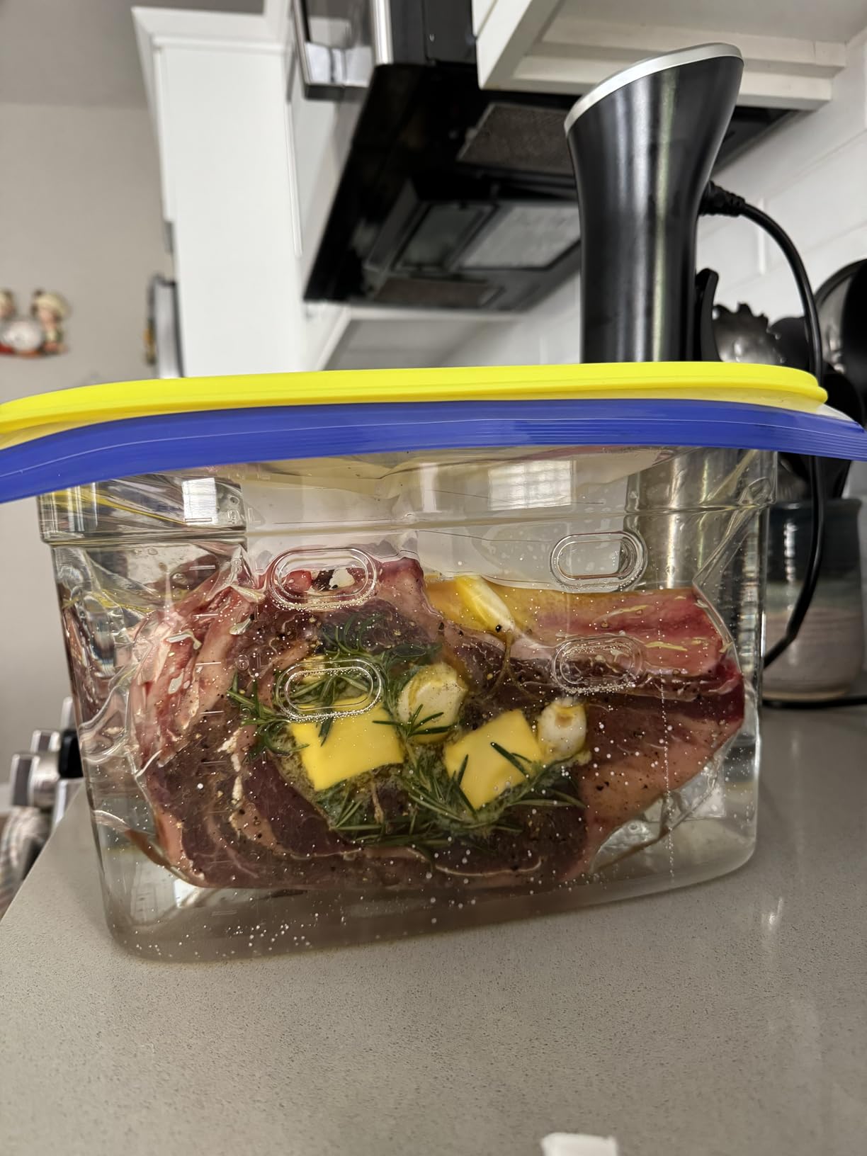 Wancle Sous Vide Cooker 1100W IPX7 Waterproof Thermal Immersion Circulator customer photo 1