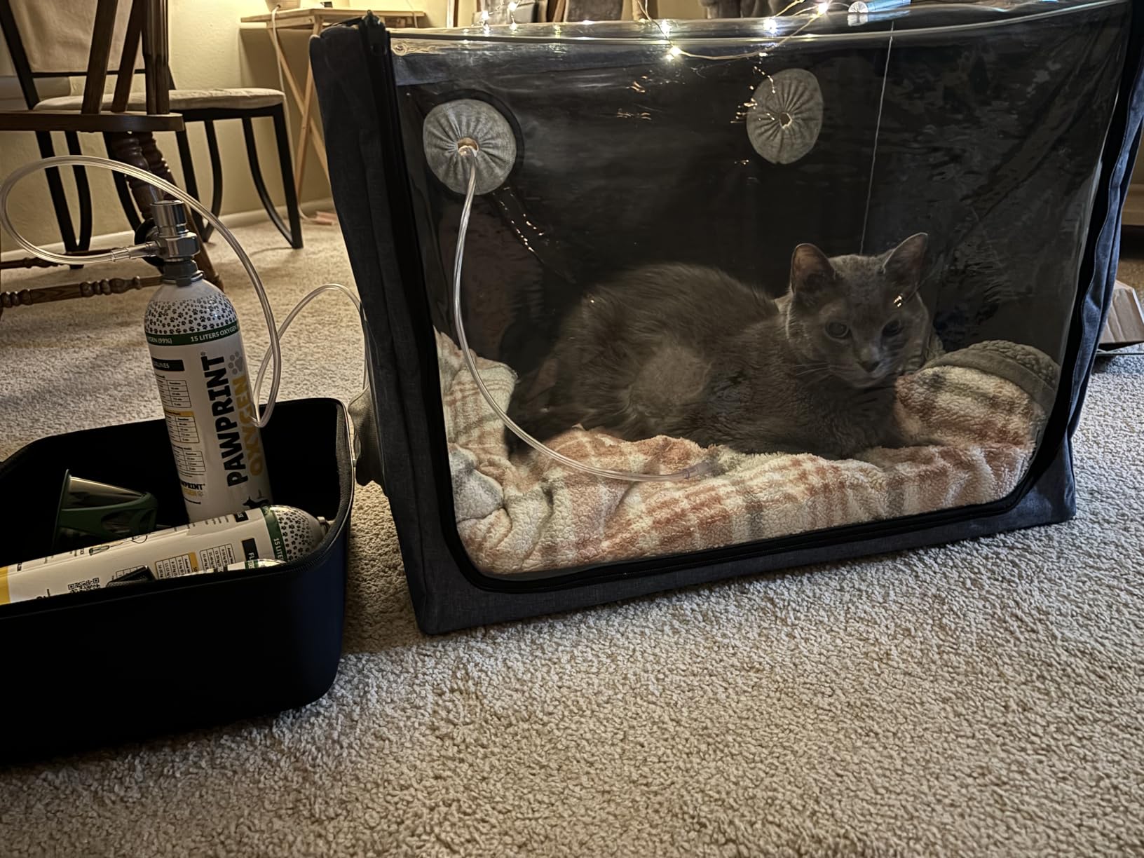Pet Atomization Nest, Cat and Dog Atomization Box Oxygen Inhalation Machine Dedicated Folding Atomization Box, Small Pet Oxygen Inhalation Box ICU Cage customer photo 1