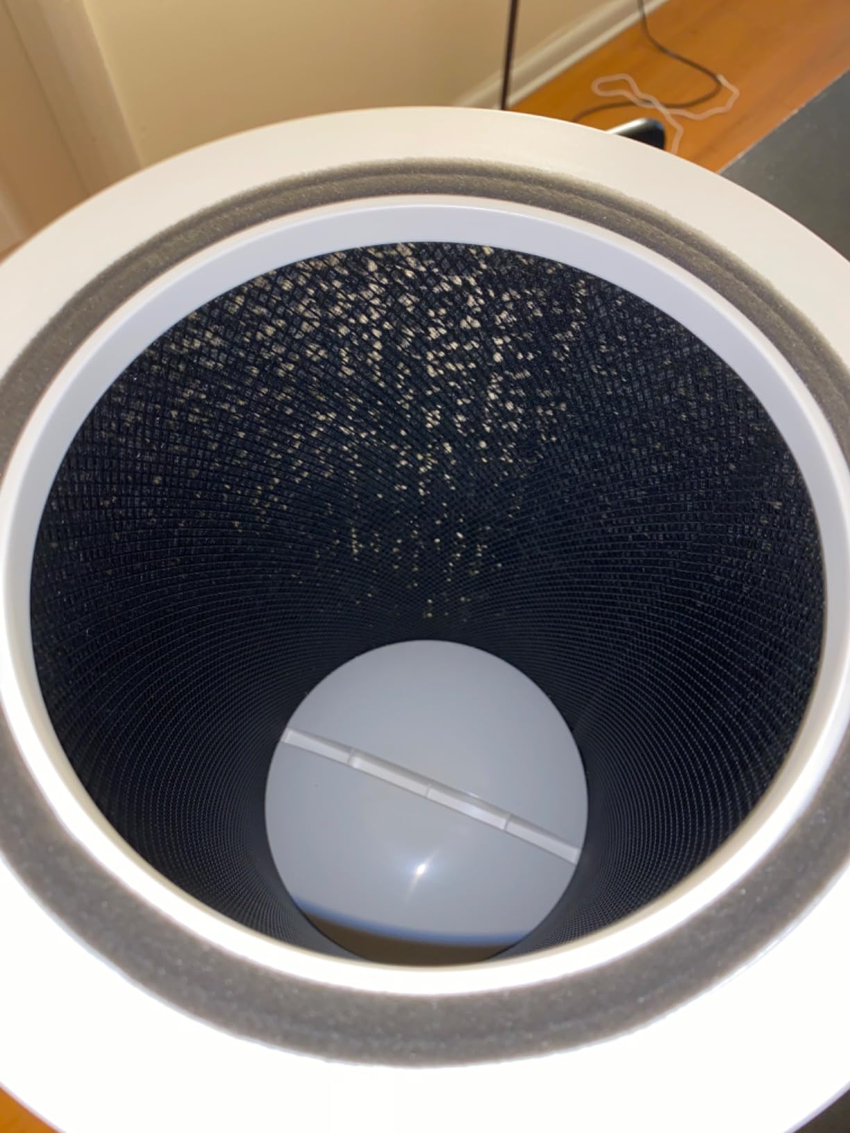 Clorox HEPA Air Purifiers for Home, True HEPA Filter, Medium Rooms Up to 1,000 Sq Ft, Removes 99.9% of Mold, Viruses, Wildfire Smoke, Allergens, Pet Allergies, Dust, AUTO Mode, Whisper Quiet customer photo 1