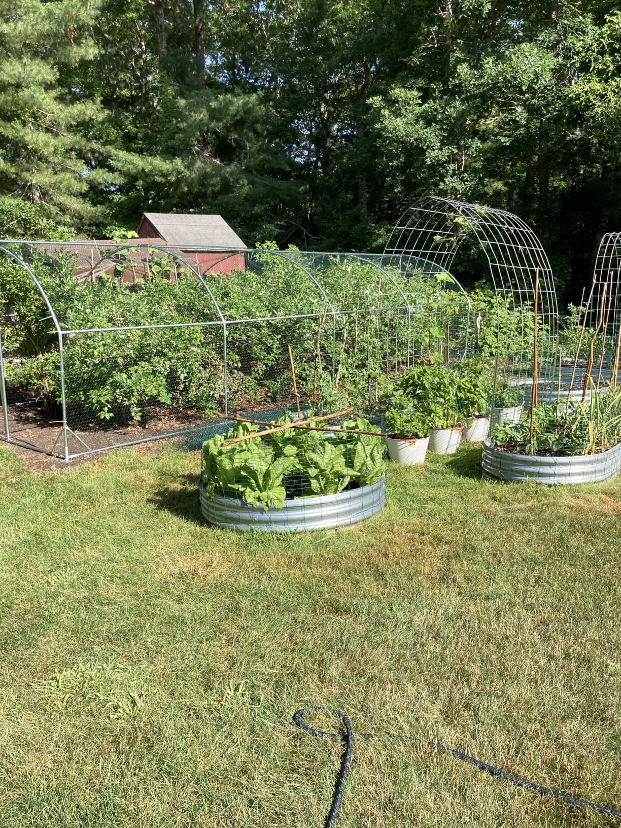 Large Metal Chicken Coop Round Top Upgrade Tri-Supporting Wire Mesh Chicken Run,Chicken Pen with Water-Resistant and Anti-UV Cover,Duck Rabbit House Outdoor (6.6'L x 9'W x 6.5'H) customer photo 2