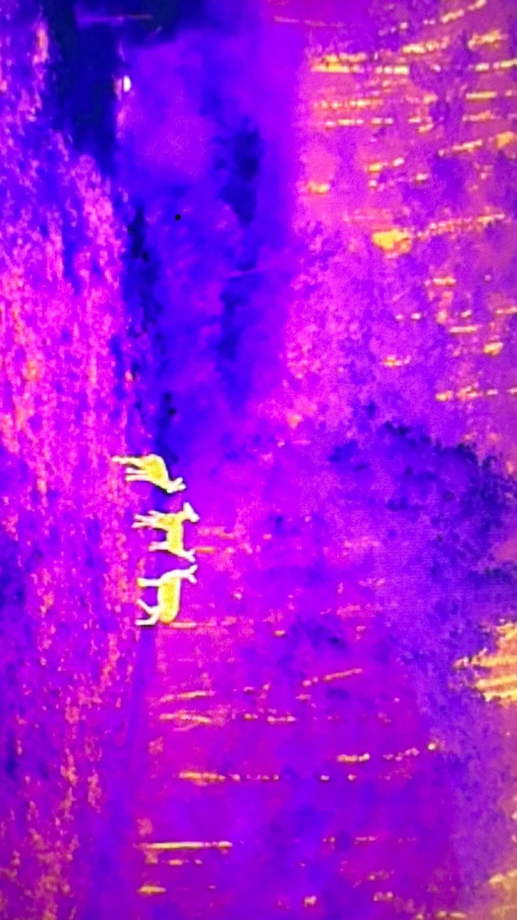 Autel Robotics EVO II Dual 640T V3, 640x512 Thermal Imaging Drone, RemoteID customer photo 2