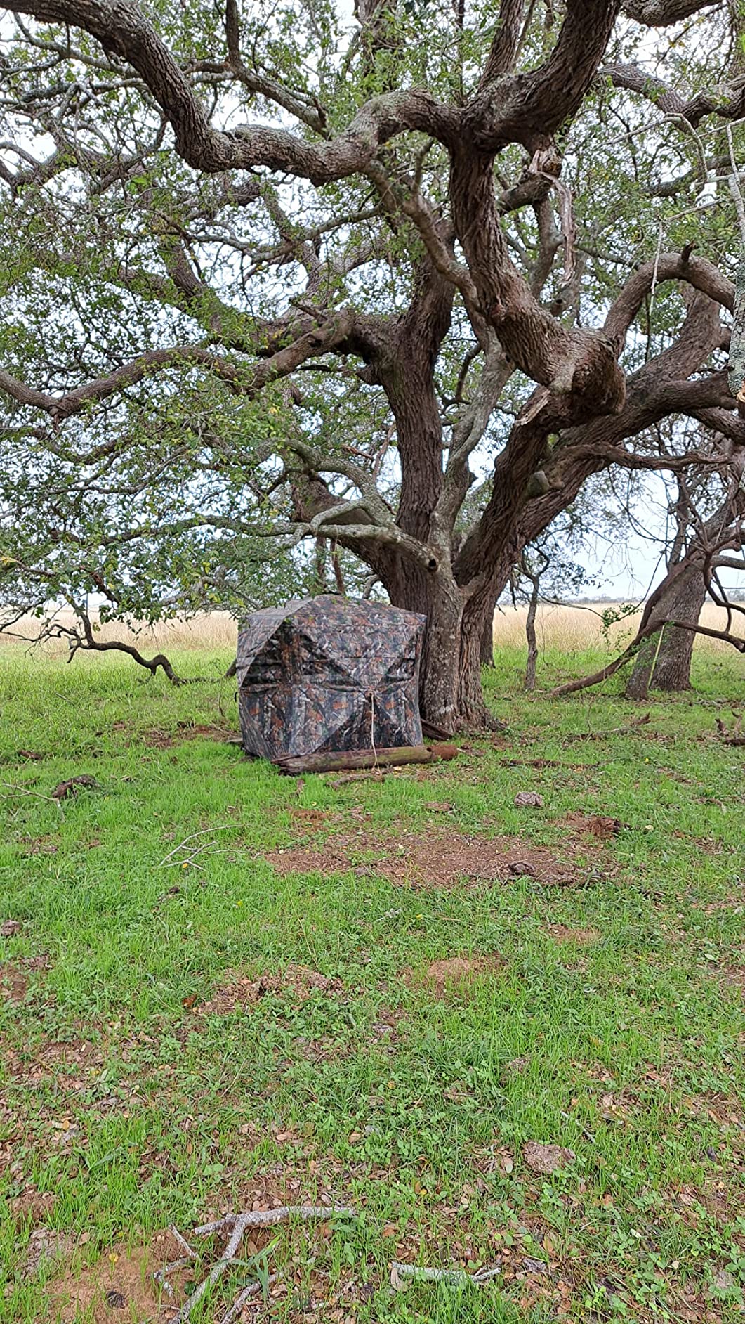 Lenotos Hunting Blind 270° See Through, Low-Noise 2-3 Person Pop Up Deer Blind, Portable Durable Ground Blind for Deer & Turkey Hunting customer photo 2