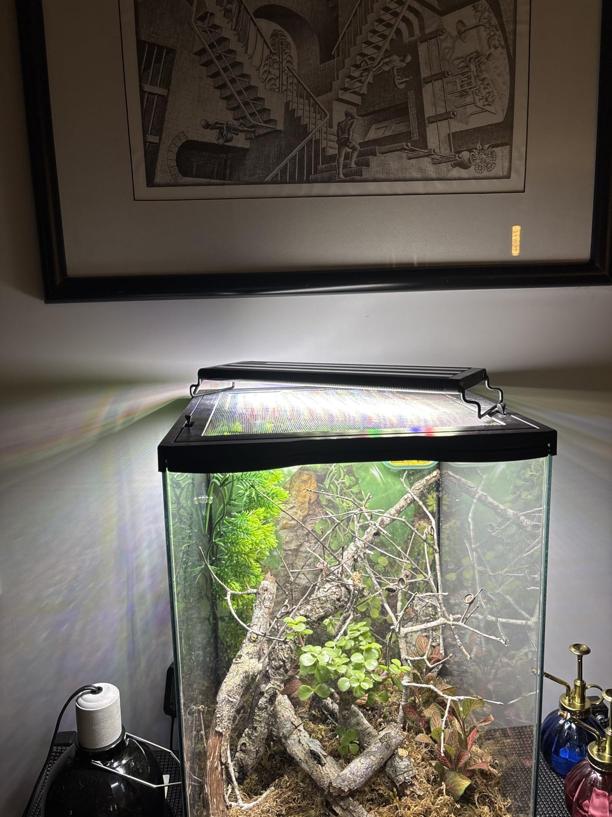 SEAOURA Led Aquarium Light for Plants Growth, Fish Tank Light 12-18 Inch customer photo 1