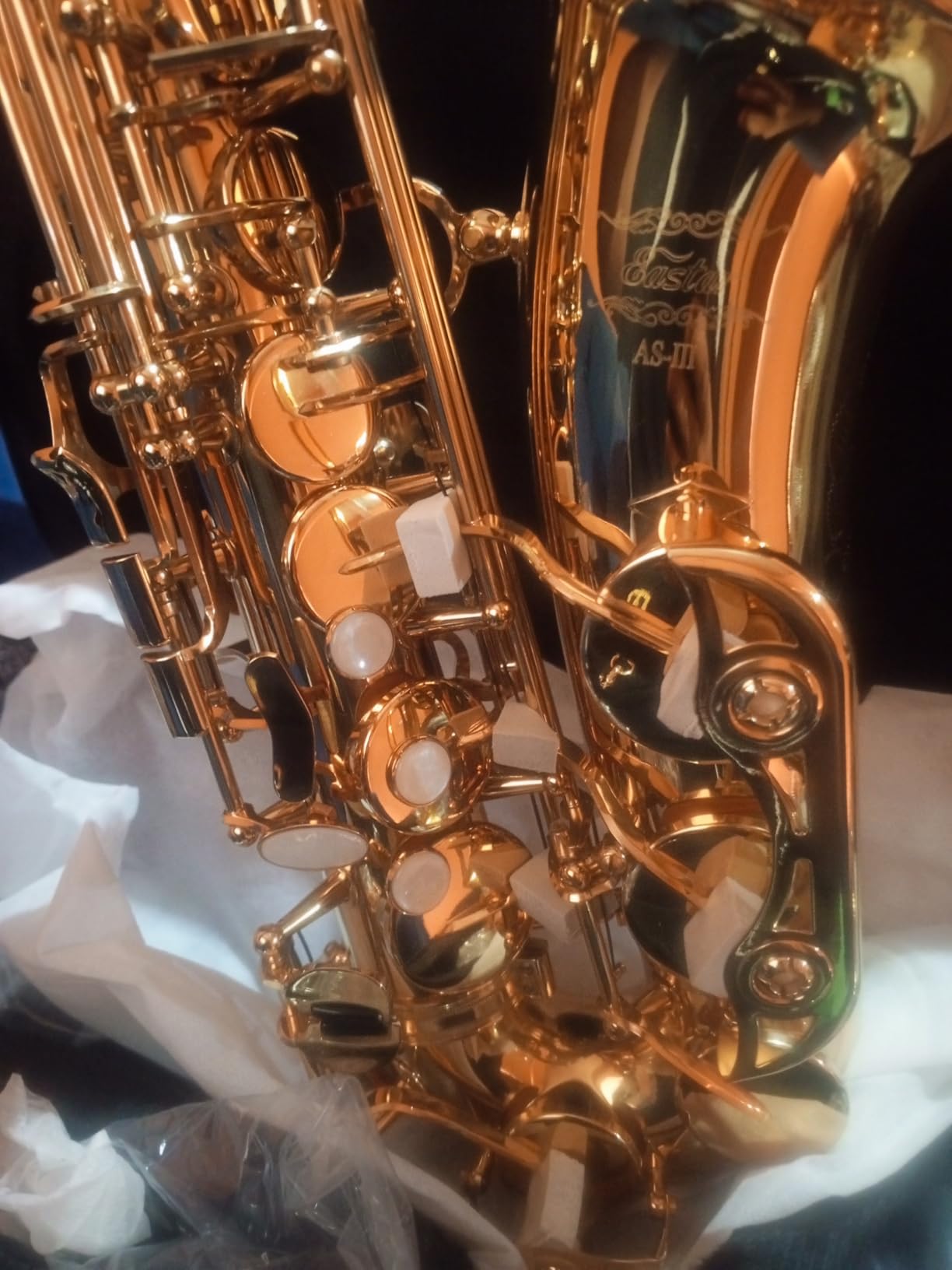 Eastar Upgraded Alto Saxophone E Flat for Beginner Students Brass Sax Full Kit, Travel Bag, Foldable Stand, Cleaning Kit, Golden Lacquer, EAX-21 customer photo 2