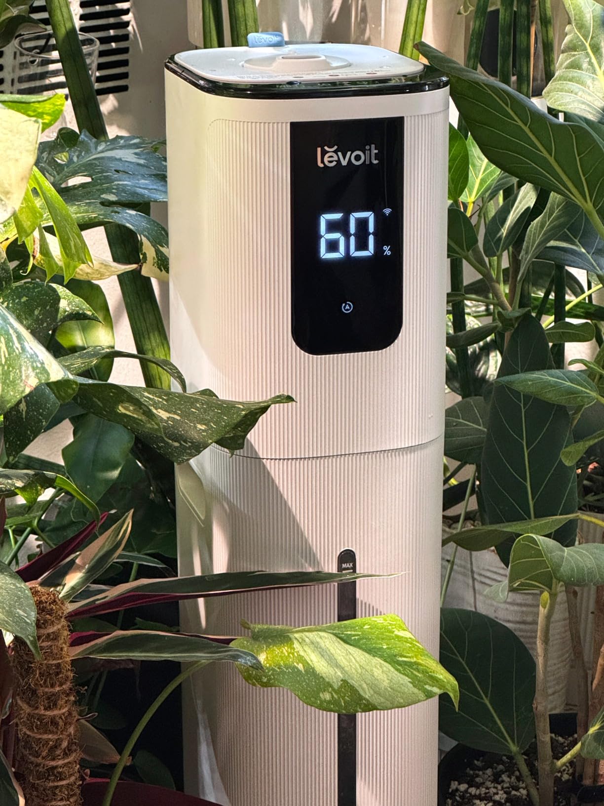 LEVOIT OasisMist 1000S (10L) Smart Humidifier for Home Large Room Bedroom, Last 100 Hours Suitable for Indoor Plant, Cover up to 600ft², Easy Top Fill, Remote & Voice Control, Auto Mode, Quiet customer photo 1