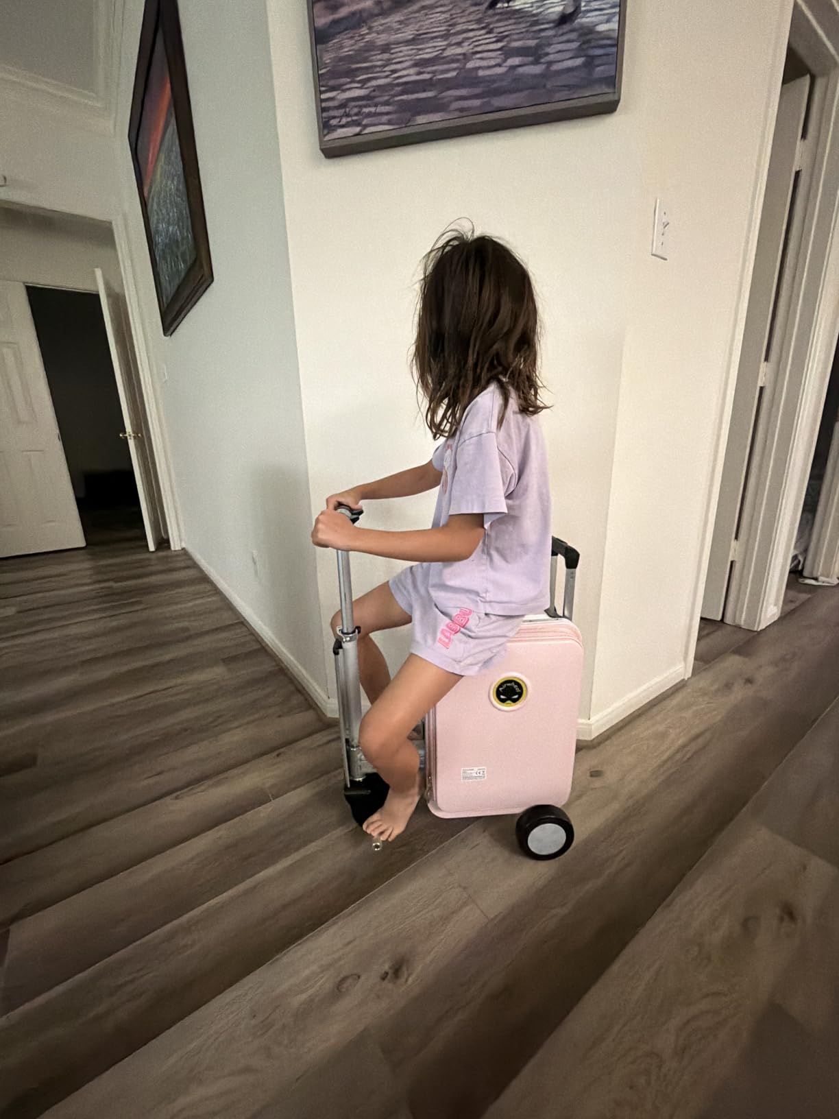 SE3S Smart Rideable Suitcase Electric Luggage Scooter For Travel (black) customer photo 1