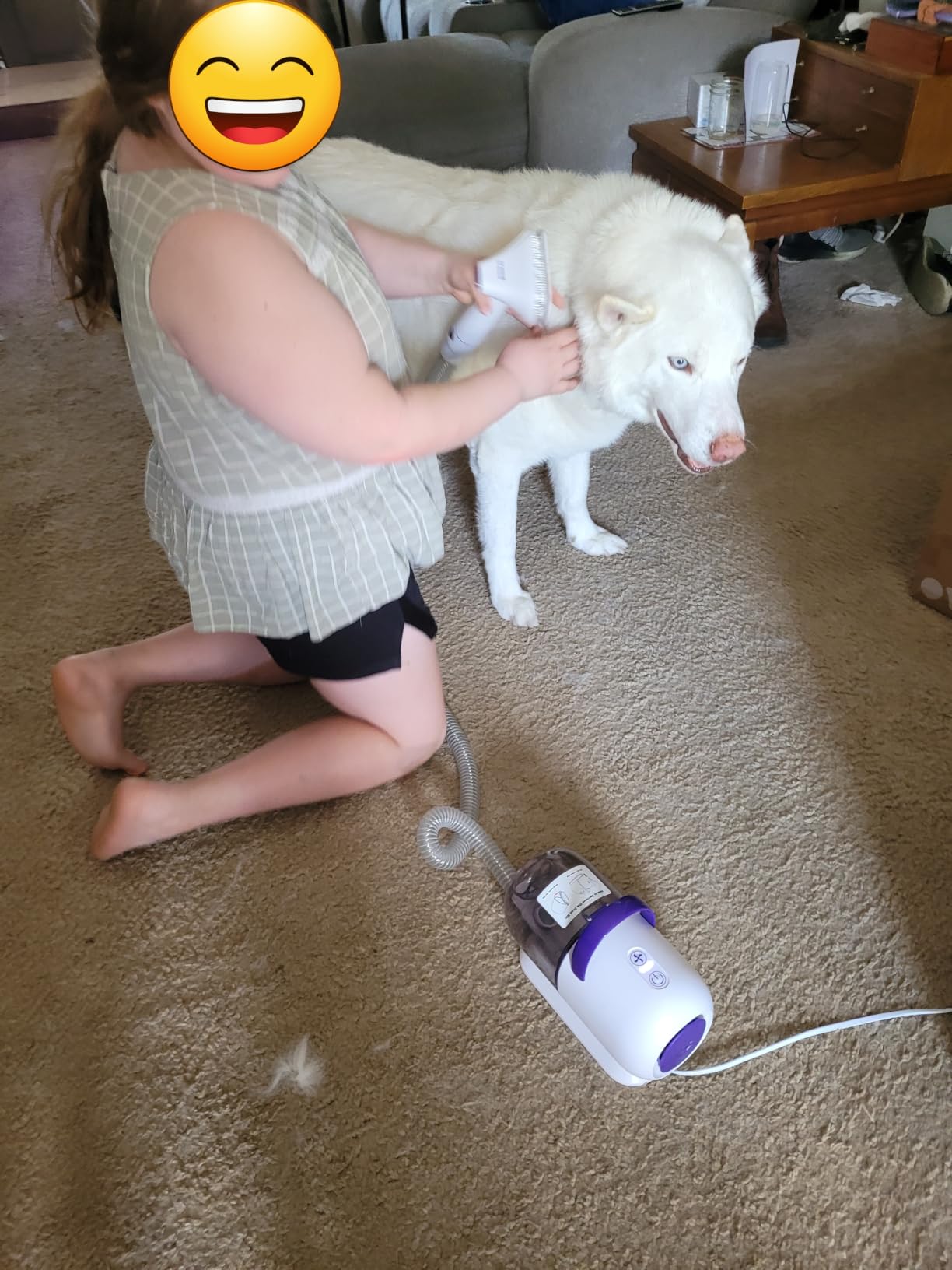 oneisall Dog Hair Vacuum Shedding Grooming Brush Kits for Pet Thick Coats | 15000Pa, 3 Suction Low Noise, 1.5L Dust Cup, 5 in 1 Kits, LM5 customer photo 2