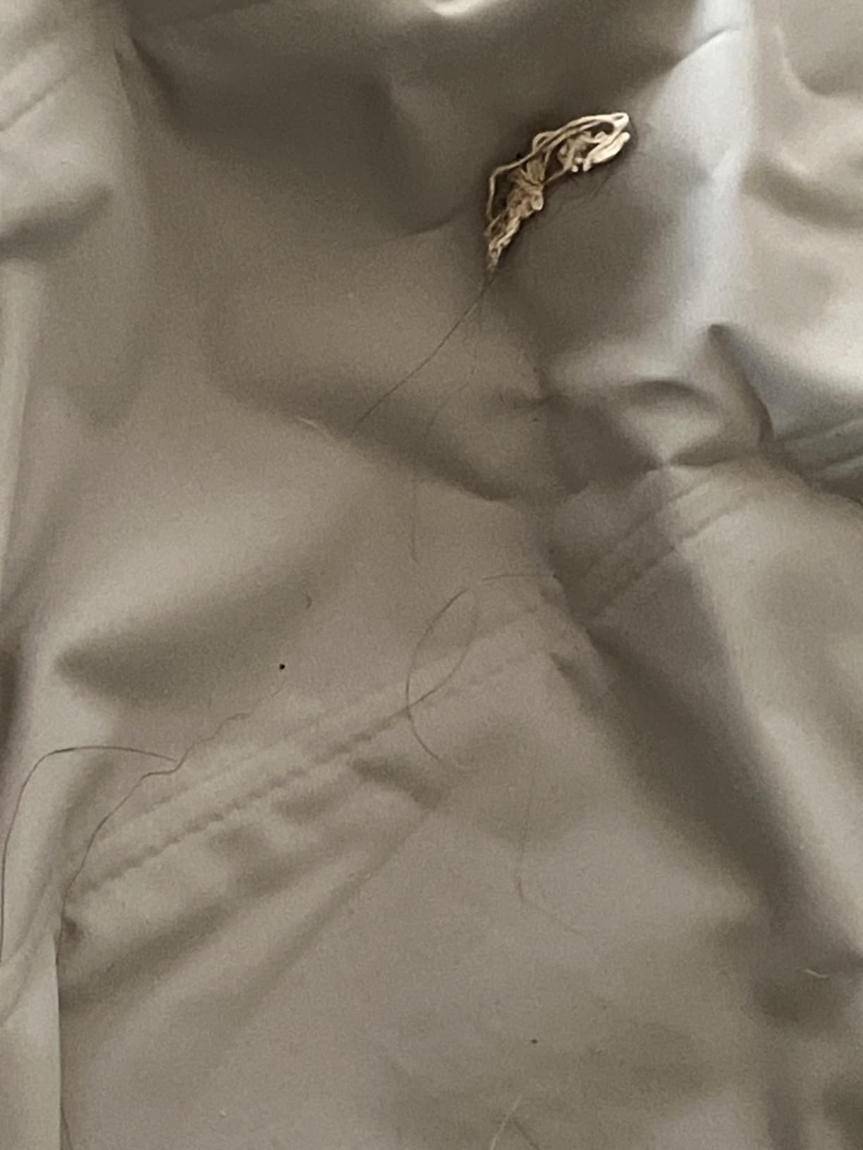 Intex 64012E TruAire Luxury Camping Mattress customer photo 2