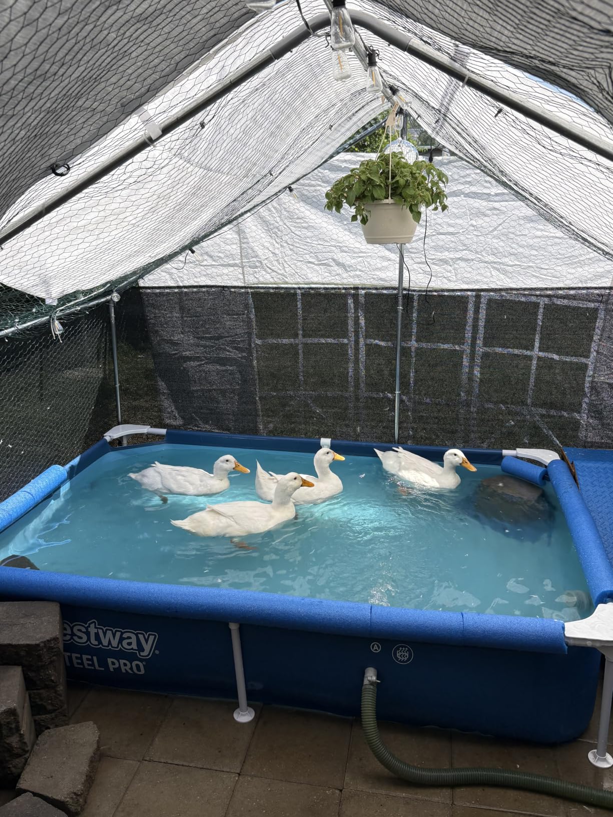 Bestway Steel Pro 12' x 6' 7