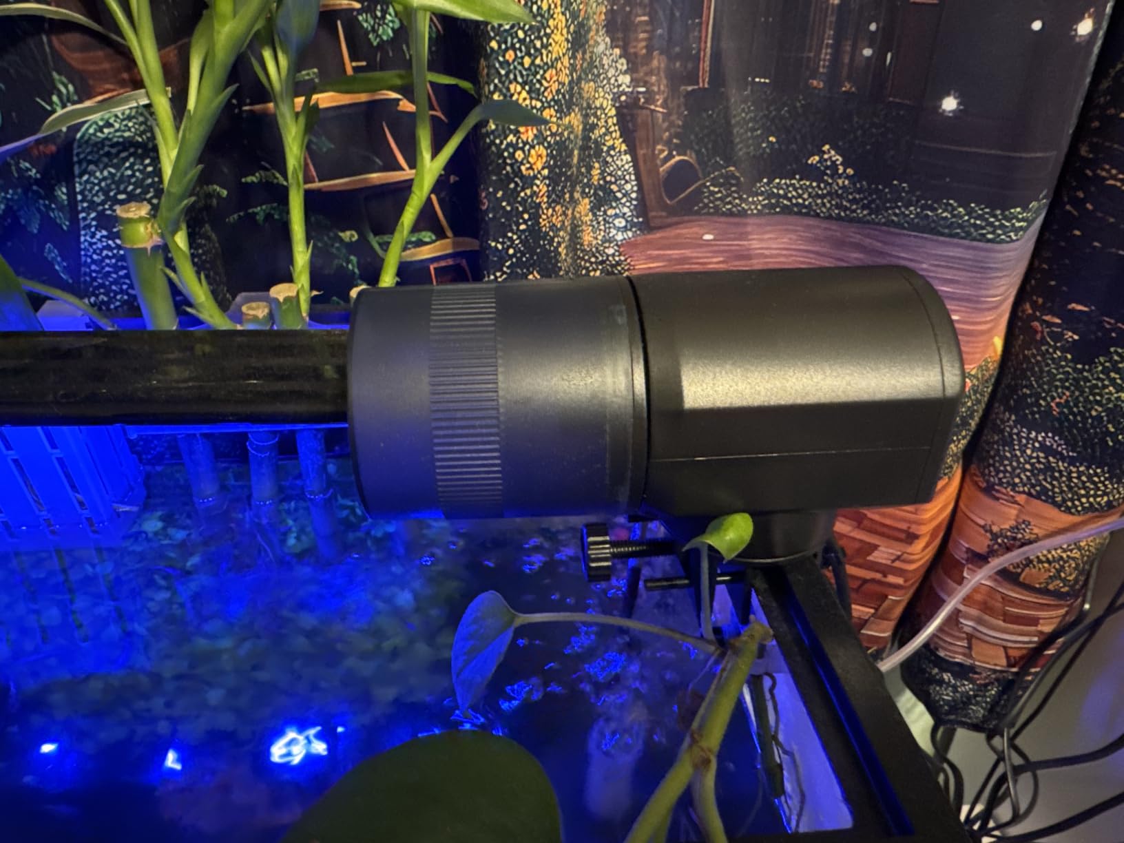 Automatic Fish Feeder Dispenser for Aquarium: 200ml Large Capacity Auto Feeders for Small Tank Turtle Betta Koi - Battery Food Feeding Timer for Flakes Pellet Vacation Weekend Day customer photo 2