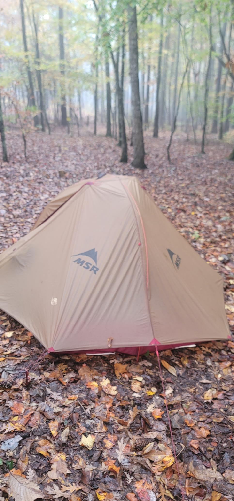 MSR Freelite 2-Person Ultralight Backpacking Tent customer photo 1