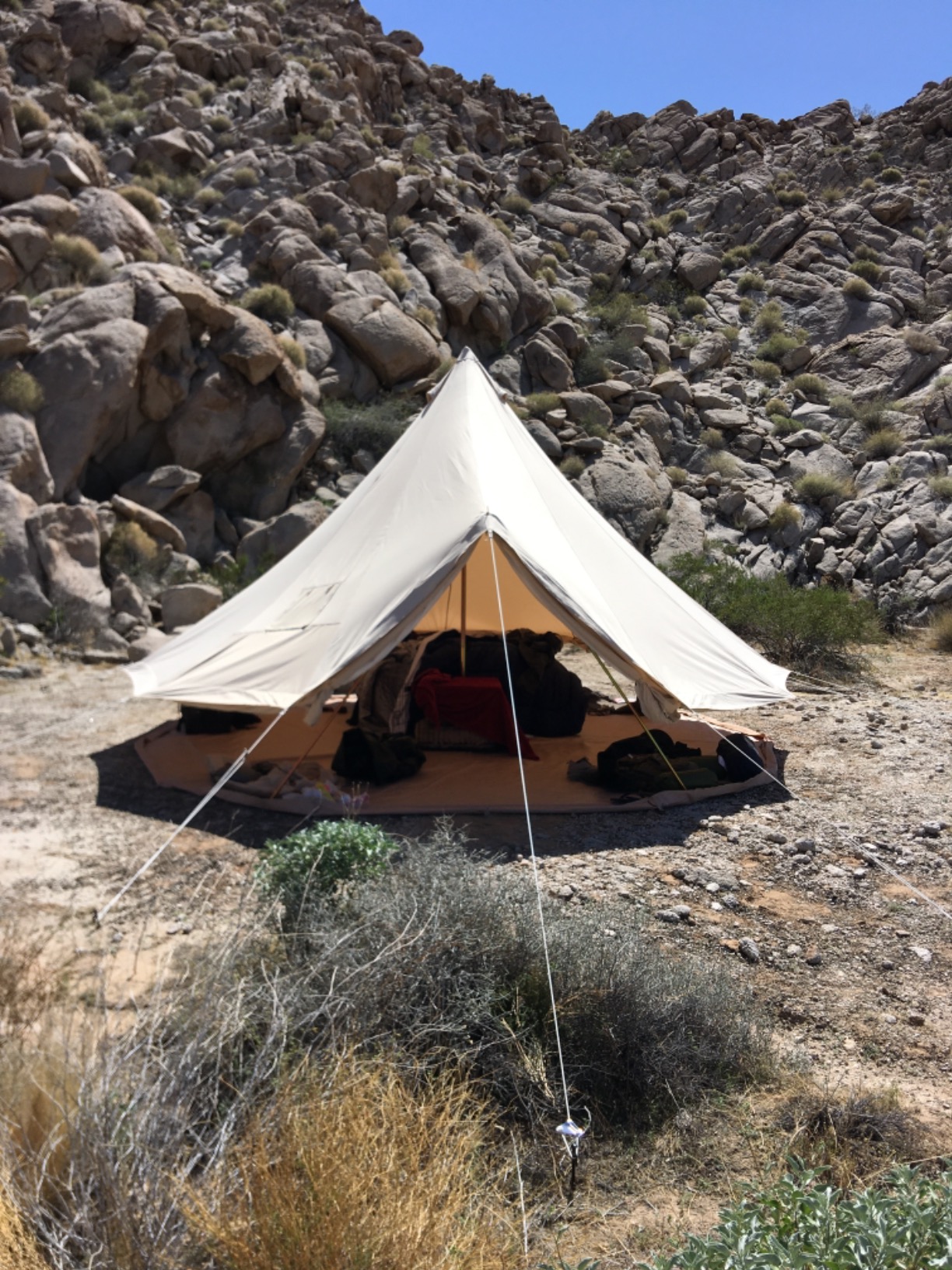 Glamcamp Bell Tent, 4 Seasons Breathable Cotton Canvas Yurt Tent - w/Stove Jack, Luxury Camping Tent Outdoor, Zipped Removable Floor customer photo 1