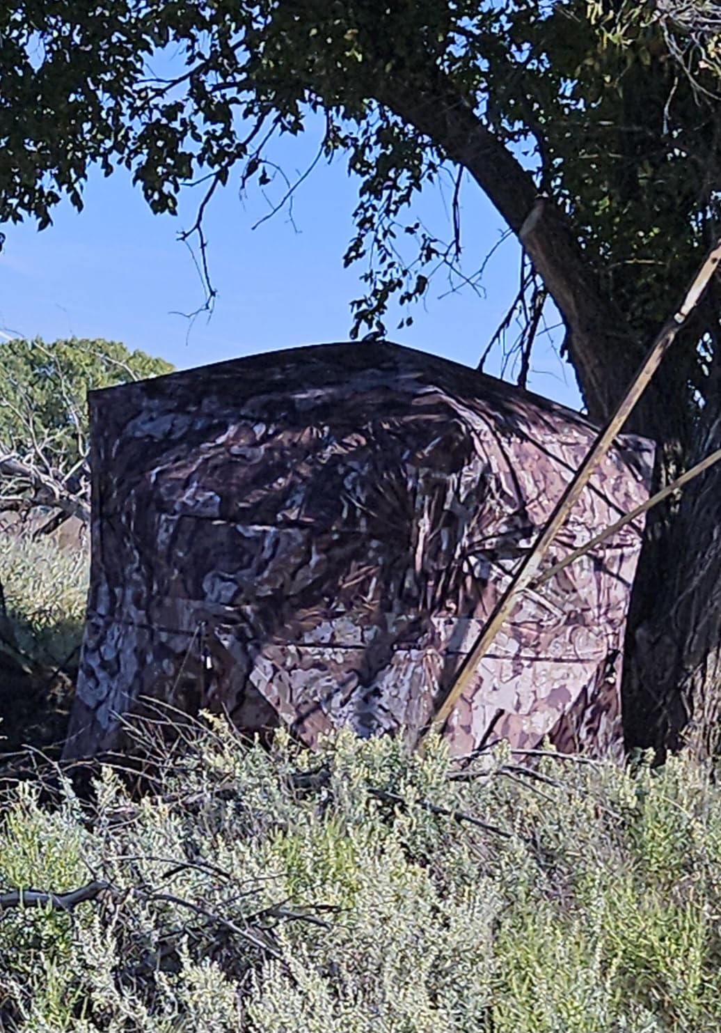 Barronett Blinds Ace 250, Portable Hunting Blind, Large Pop-Up Hub Blind, Panoramic Shooting Windows, Lightweight, Crater Harvest, 75 x 75 x 67, AC250CH customer photo 1