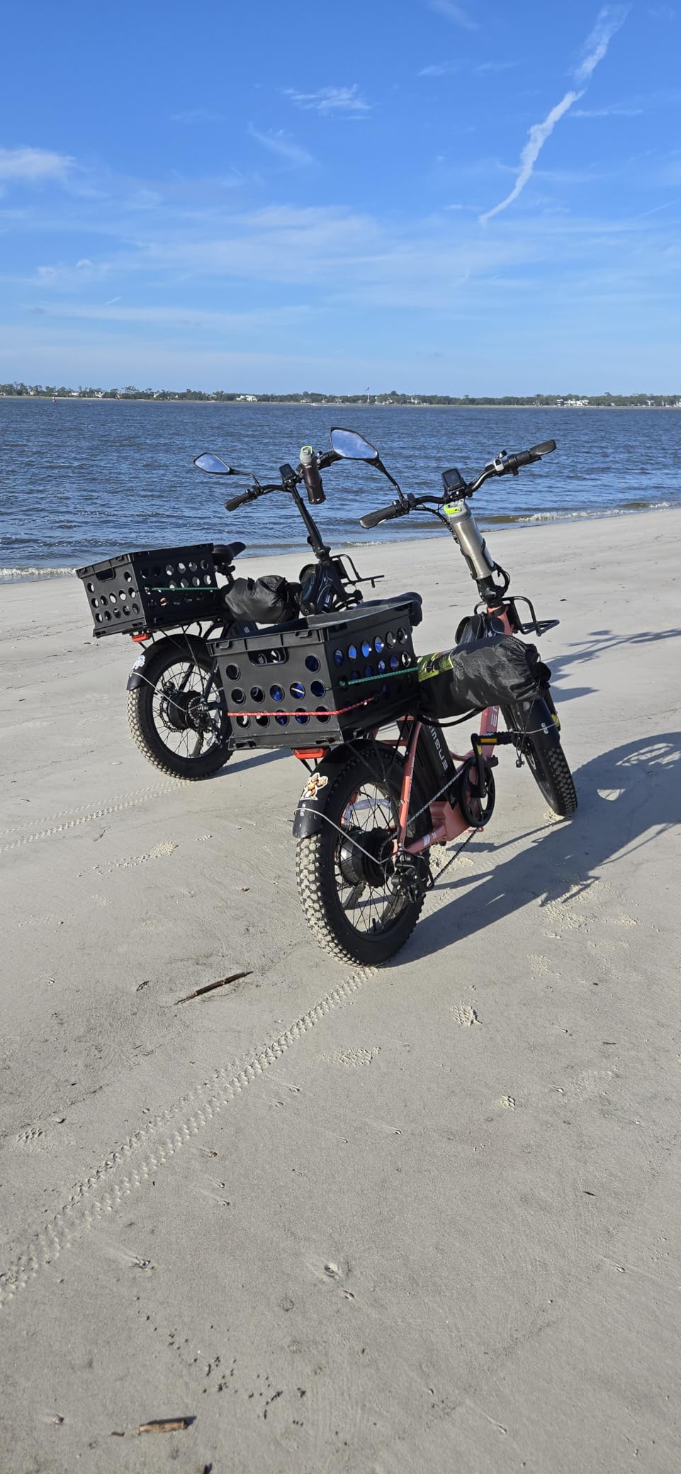 Engwe L20 2.0 Electric Bike for Adults, 1125W Motor, 20''x3.0