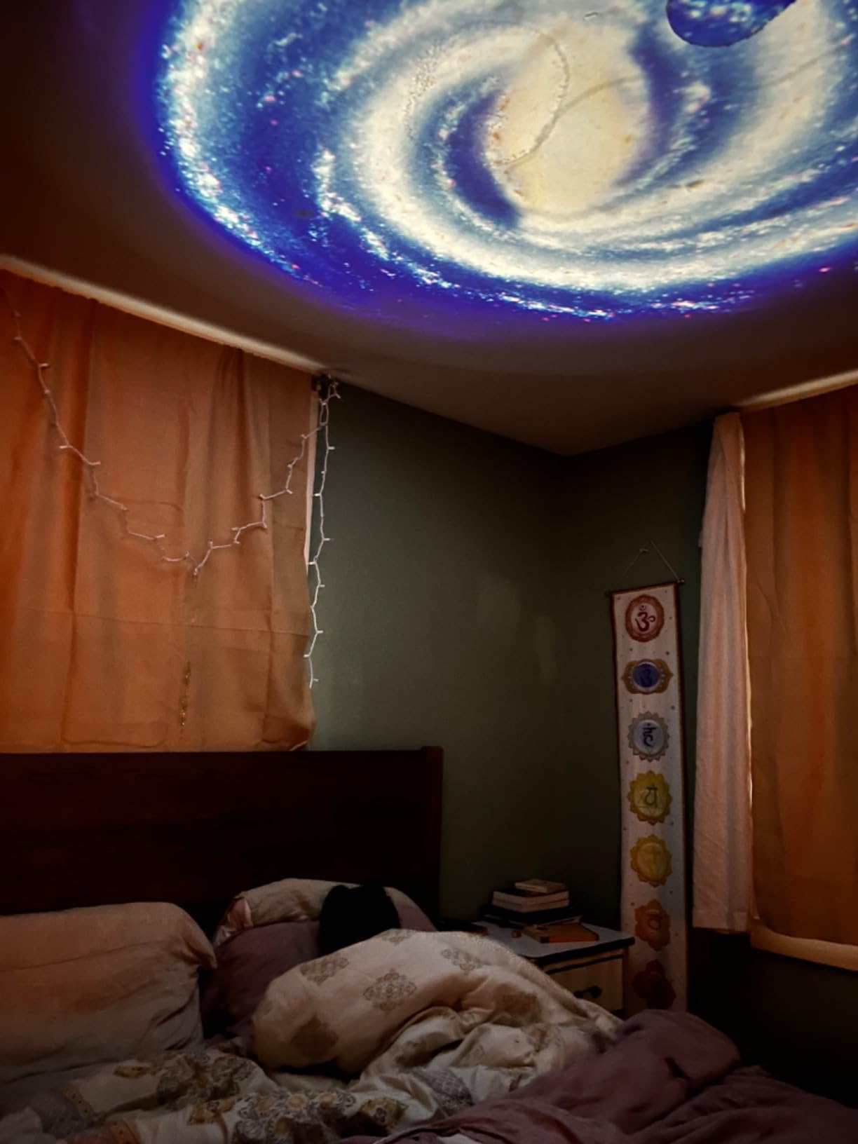 FlyLily Galaxy Projector, 13 in 1 HD Planetarium Star Projector for Bedroom, 360 Rotating Star Light with Adjustable Knob and Timer customer photo 1