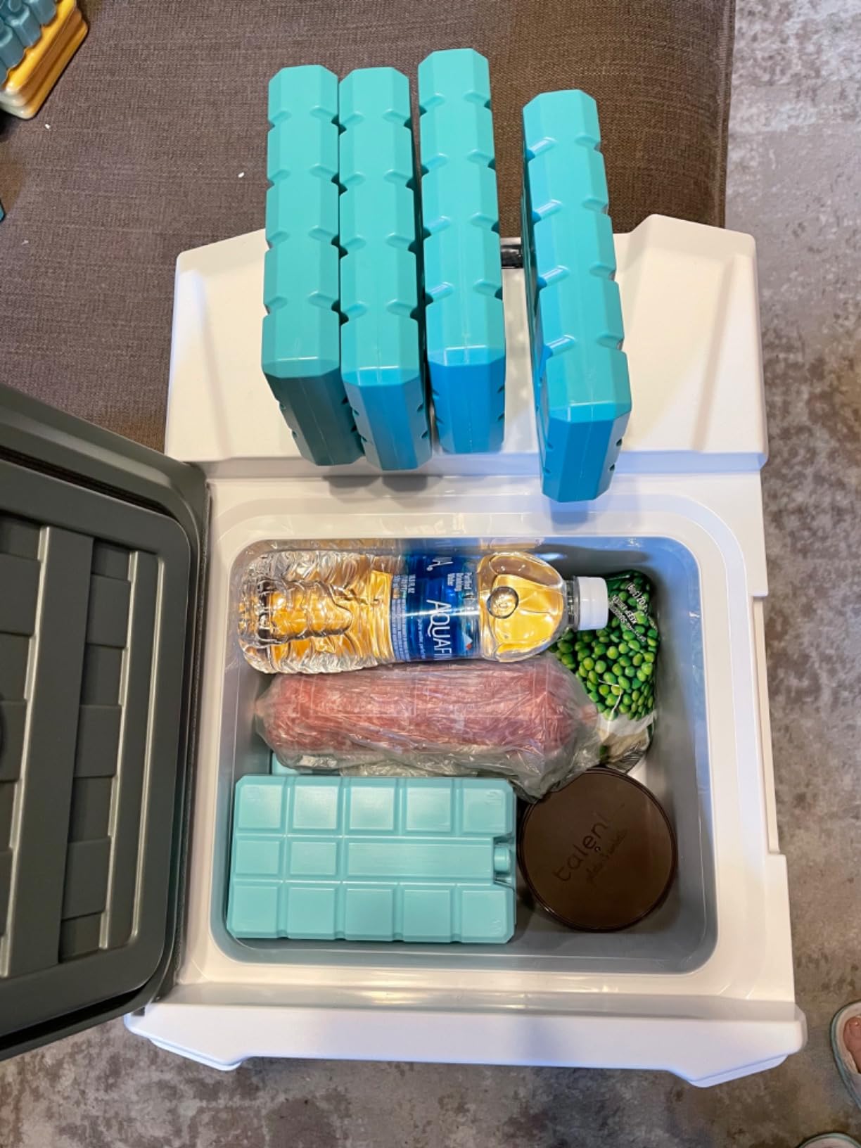 Alpicool 12 Volt Refrigerator 12V Car Fridge 10 Quart Small Car Refrigerator Portable Fridge 12/24V DC 110~240 Volt AC for Truck RV Camper SUV Portable Freezer Electric Cooler for Camping (-4℉-68℉) customer photo 2