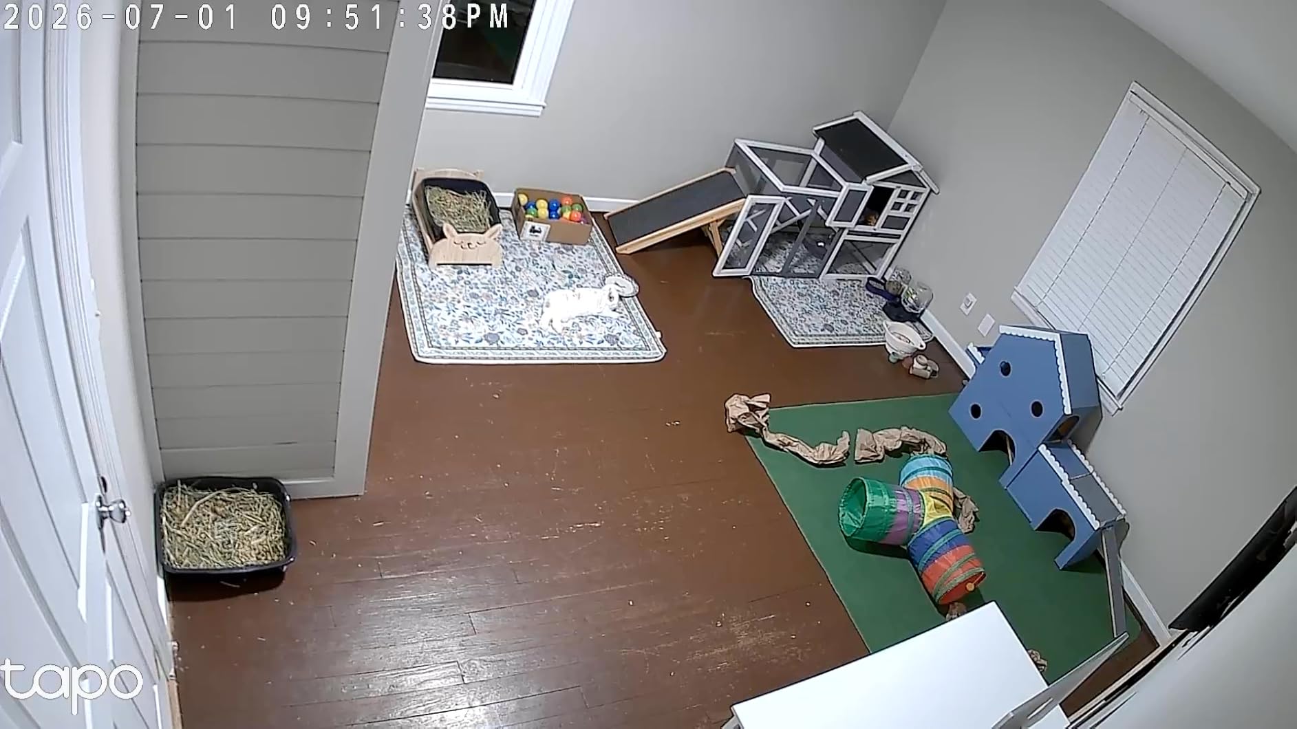 Tapo 1080P Indoor Wired Security Camera - Works as a Baby & Pet Monitor, Motion Detection, 2-Way Audio, Siren, Night Vision, Subscription-Free Local or Optional Cloud, Works with Alexa, C100(4-Pack) customer photo 1