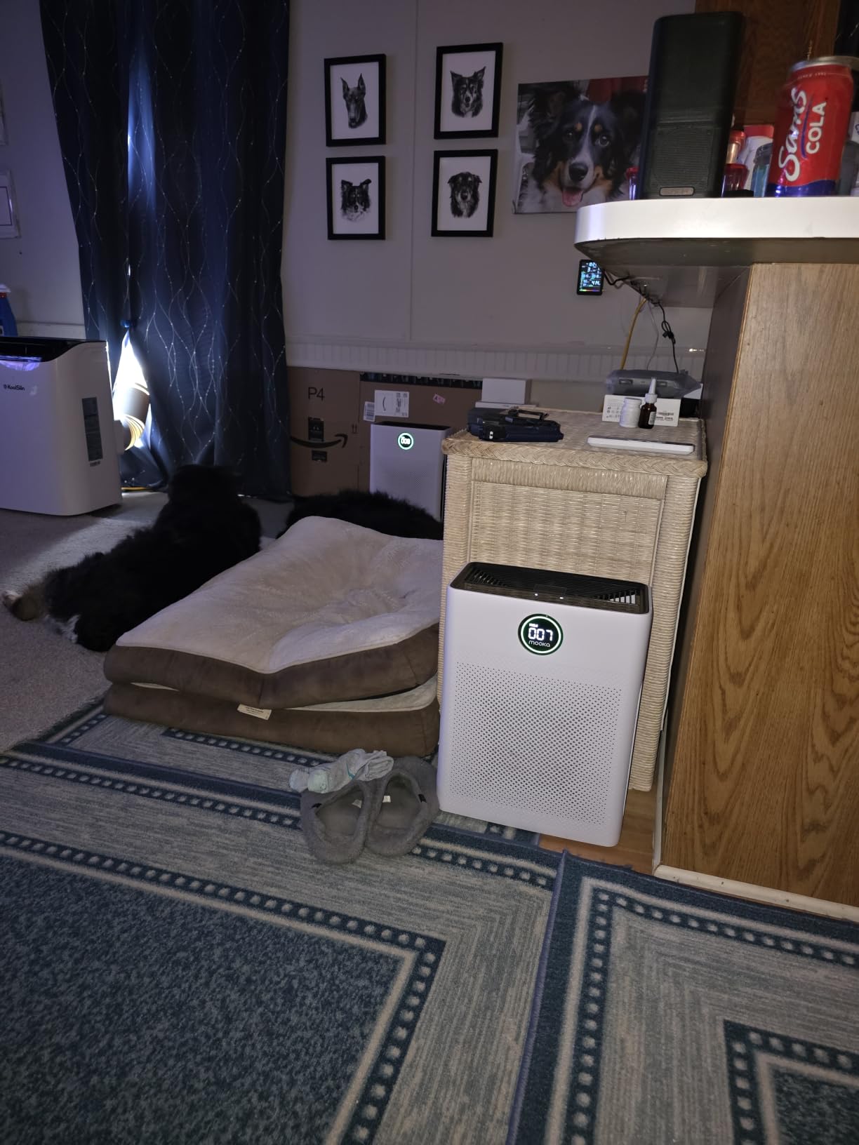 Air Purifiers for Home Large Room up to 2200sq.ft, MOOKA Air purifier for Home Pets with Washable Filter, PM 2.5 Display Air Quality Sensor Air Cleaner for Bedroom, Dorm room, Pets, Office PR1 (White) customer photo 1