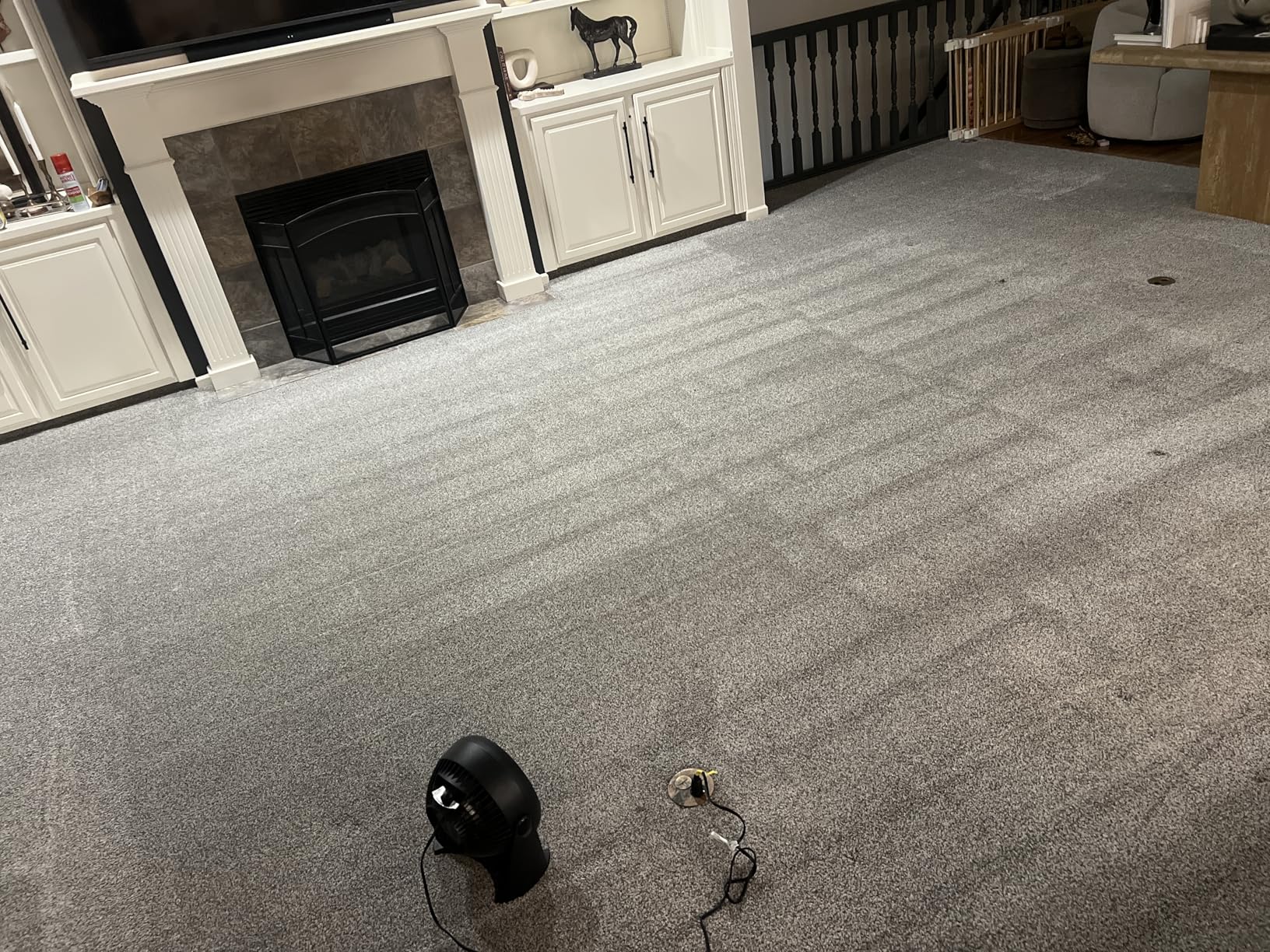 BISSELL TurboClean PET, Upright Carpet & Upholstery Cleaner, 3948 customer photo 2