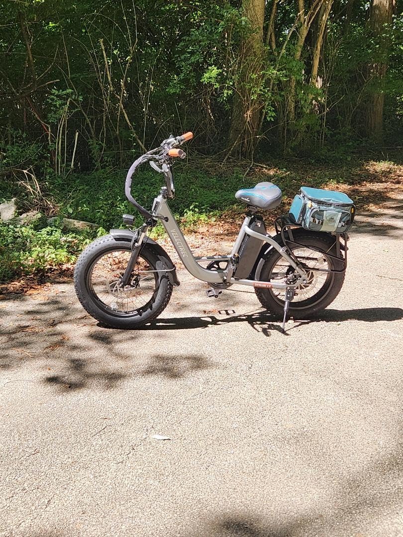 EUY Electric Bike for Adults with Peak 1500W Motor, 48V 20Ah Removable Battery Fast Ebike, Max 70 Miles, 20