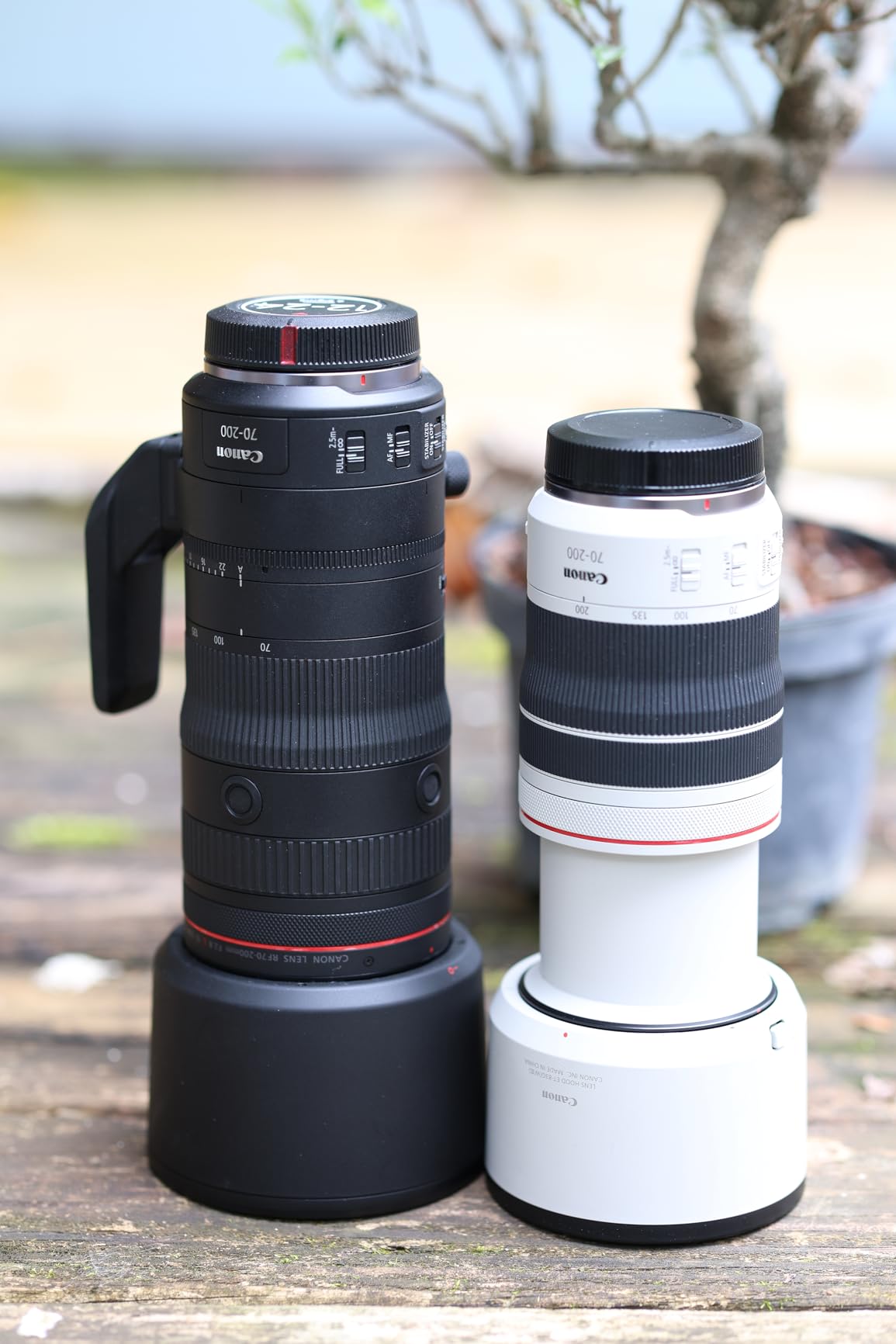 Canon RF70-200mm F2.8 L IS USM Z Black Telephoto Zoom Lens for EOS R Mirrorless customer photo 2