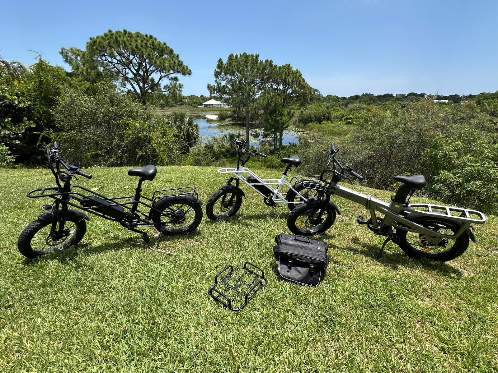 Baicycle 1800W Peak Electric Bikes for Adults 20