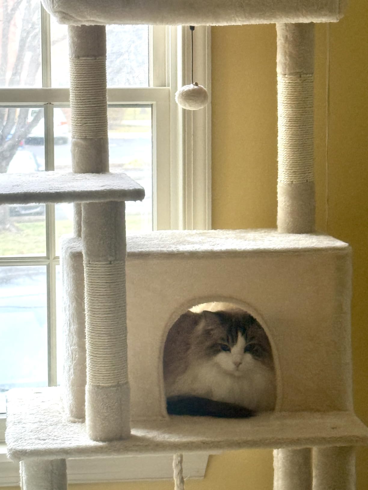 ABCPET Cat Tree Tower 63in Multi-Level Cat Tower for Indoor Cats with Sisal Scratching Posts, Condo, Hammock, Dangling Ball and Extended Platform for Cats to Play, Dark Grey customer photo 1