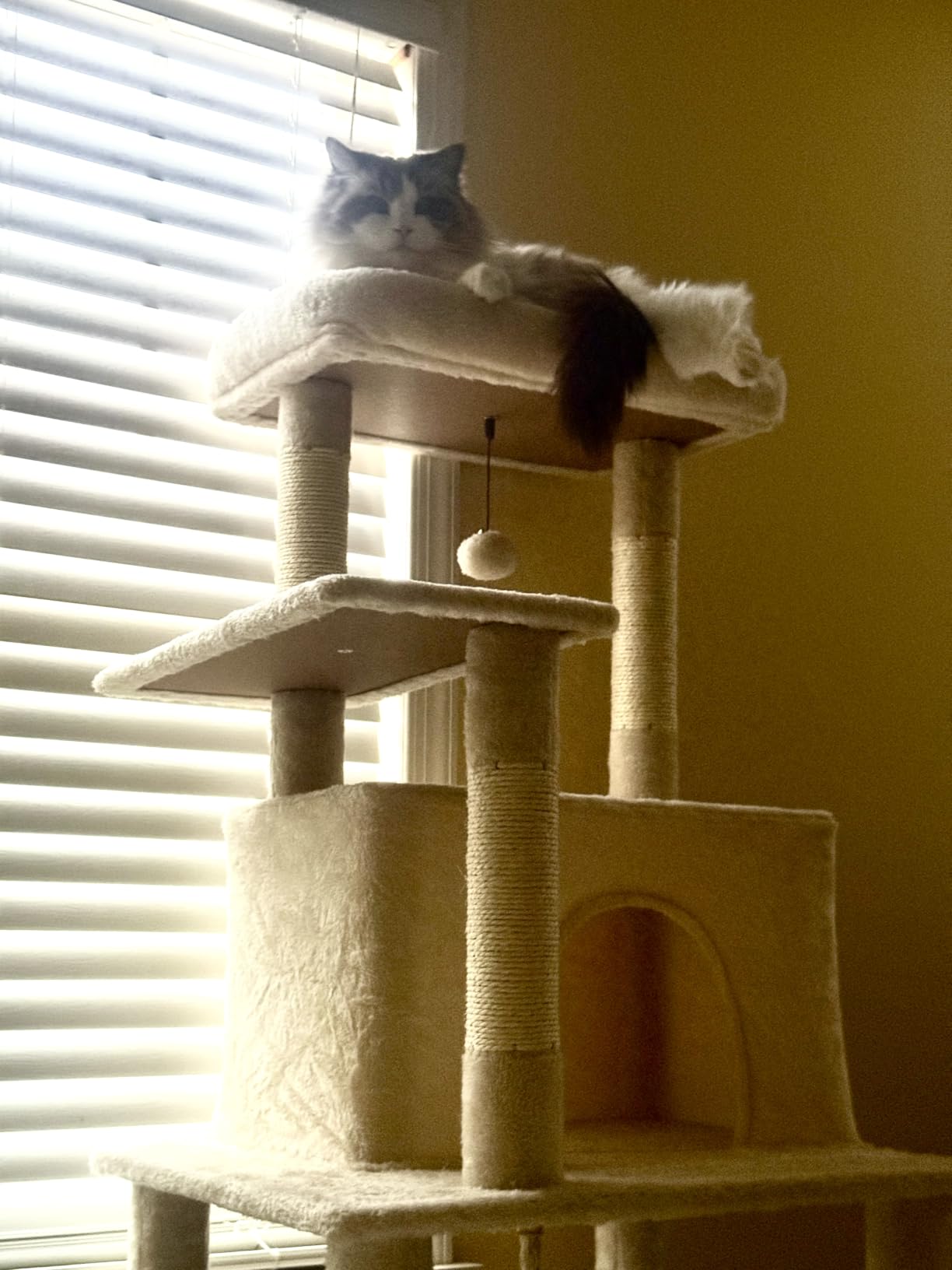 ABCPET Cat Tree Tower 63in Multi-Level Cat Tower for Indoor Cats with Sisal Scratching Posts, Condo, Hammock, Dangling Ball and Extended Platform for Cats to Play, Dark Grey customer photo 2
