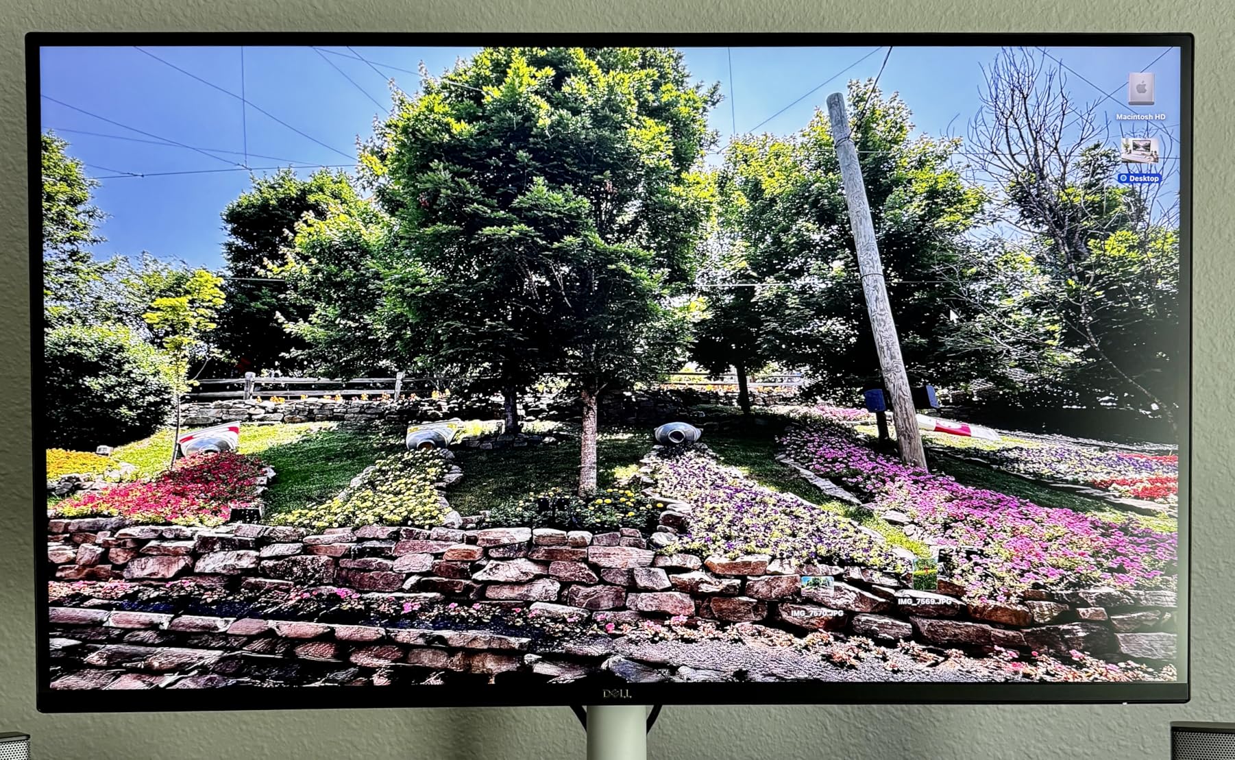Dell 27 Monitor S2725QS, 4K UHD IPS, 120Hz, 5ms, FreeSync Premium | 350 cd/m2 Brightness, 1,500:1 Contrast, 99% sRGB, Anti-Glare, HDMI, DisplayPort, USB-C, Height Adjustable, Swivel, Pivot customer photo 1