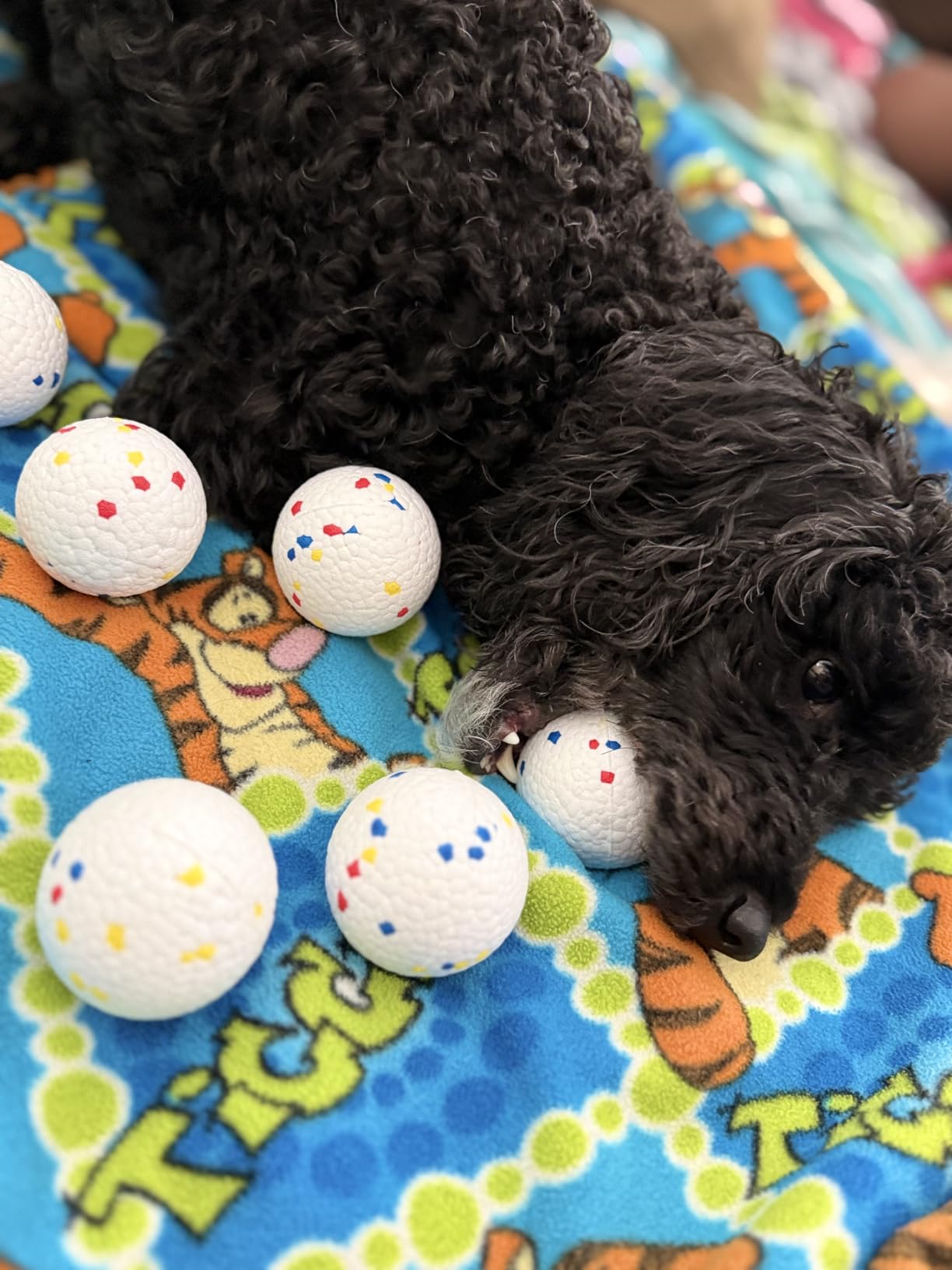 MEKAPLE Automatic Dog Ball Launcher, Upgraded Interactive Dogs Balls Thrower for Small Dogs, Distance Adjustable Mental Stimulating Dog Toys with 4 Durable Etpu Balls 2.2 Inch (Silver Grey) customer photo 1