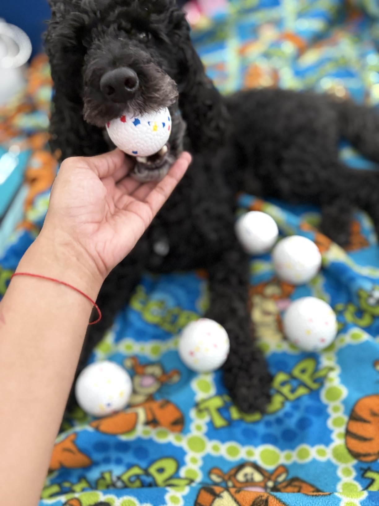 MEKAPLE Automatic Dog Ball Launcher, Upgraded Interactive Dogs Balls Thrower for Small Dogs, Distance Adjustable Mental Stimulating Dog Toys with 4 Durable Etpu Balls 2.2 Inch (Silver Grey) customer photo 2
