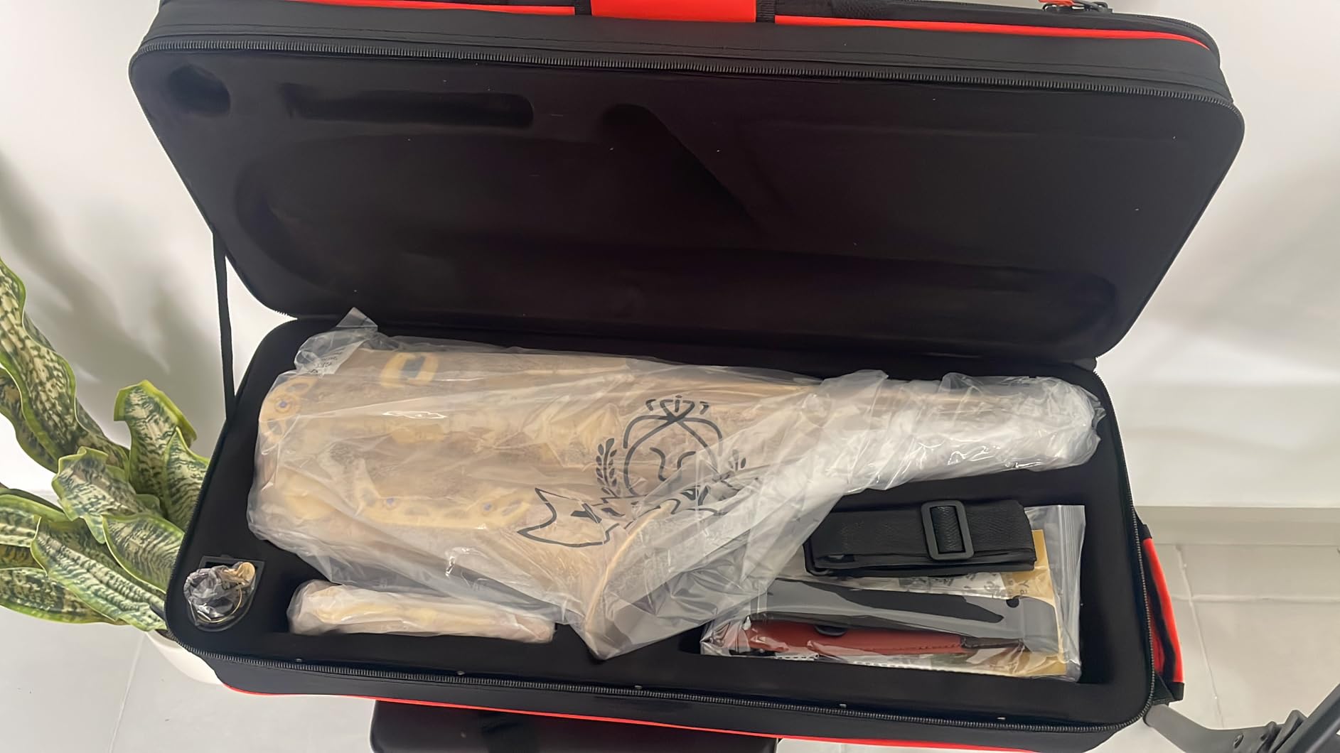 Alto Saxophone High Quality Brass Sax with E-Flat Gold Lacquer, Saxophone Case, Mouthpiece, Accessories Ideal for Beginners to Advanced Musicians customer photo 1