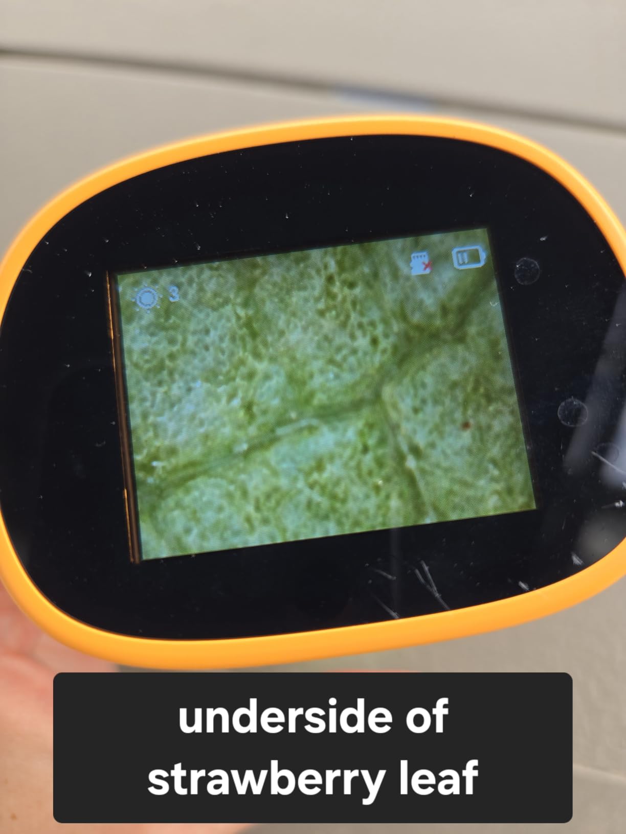 Microscope for Kids, 1000X Handheld Digital Miniscope with 2.0